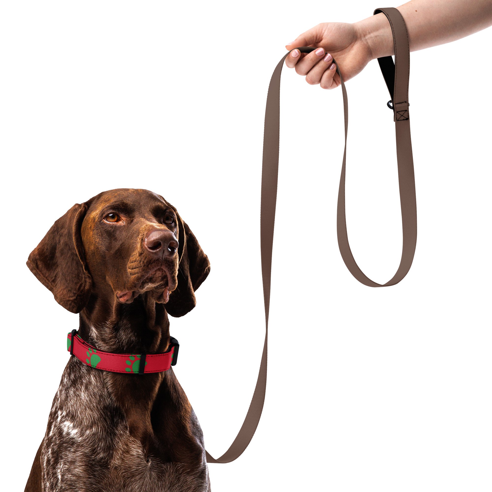 pet-collar-white-l-front-66ef3e2e561bc.jpg