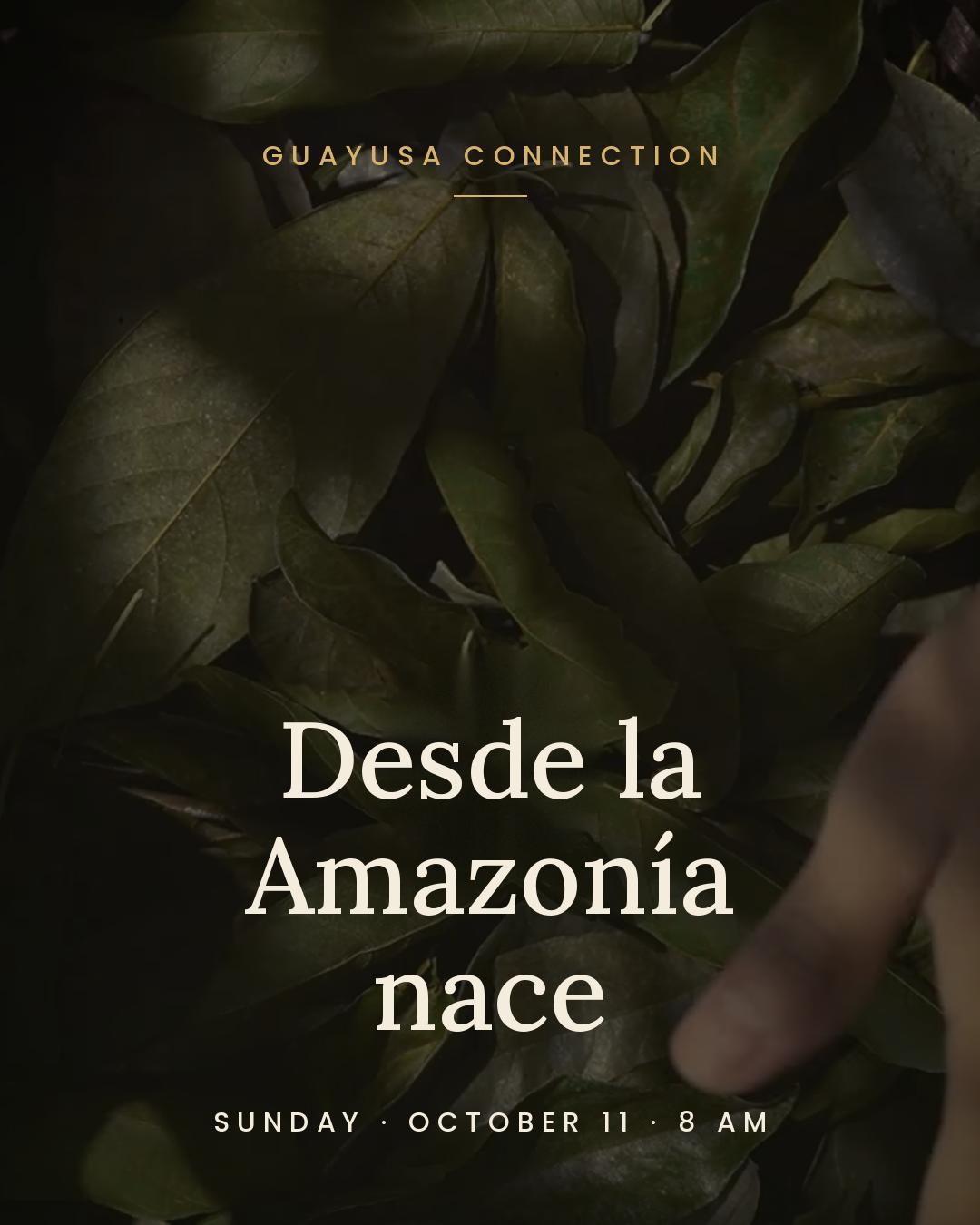 slide1_cover (1).png
