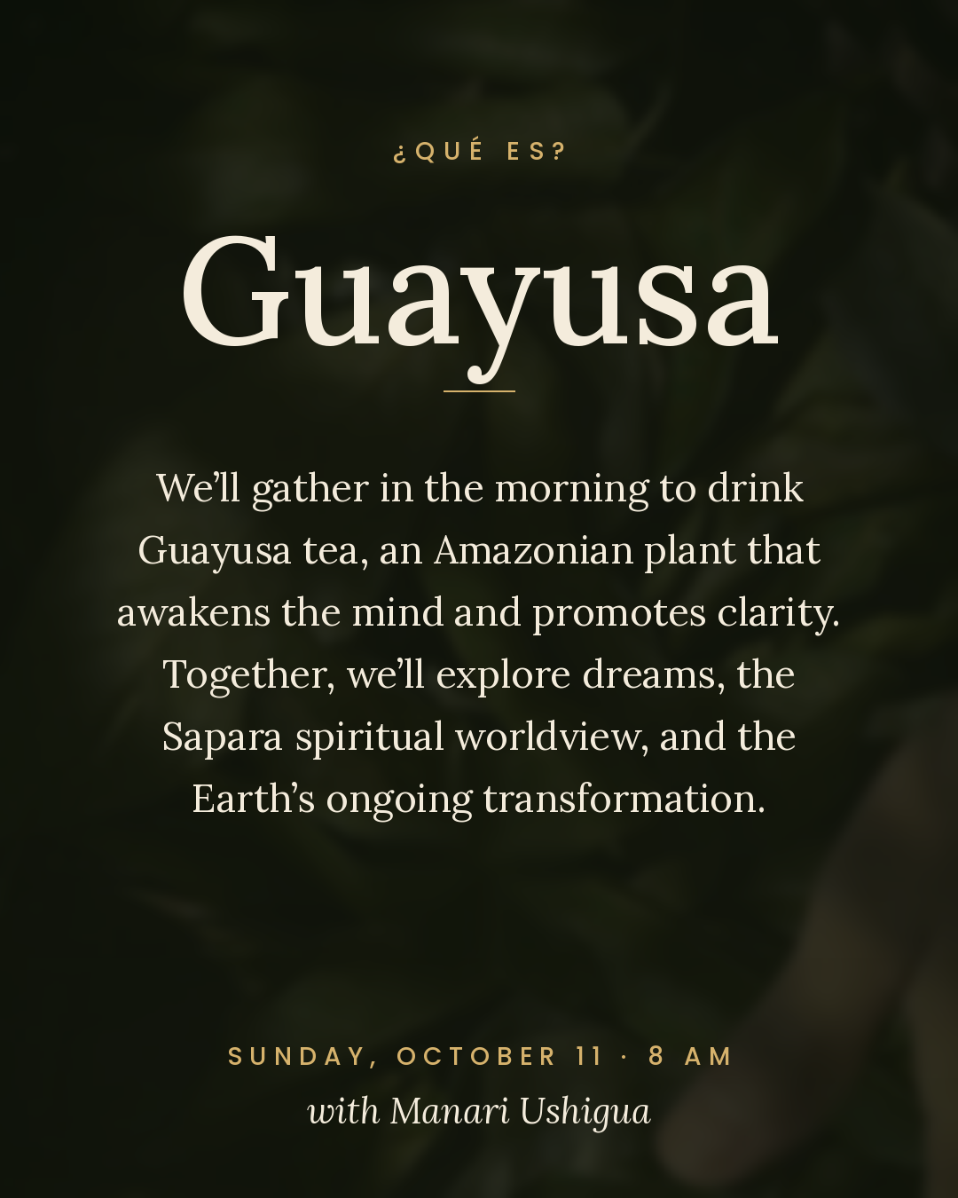 slide3_what_is_guayusa (1).png