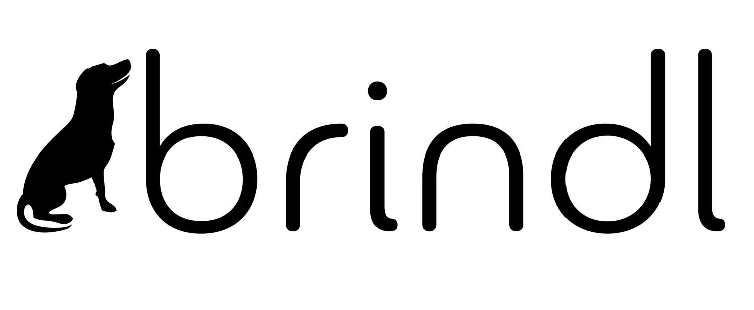 brindl pet kitchen