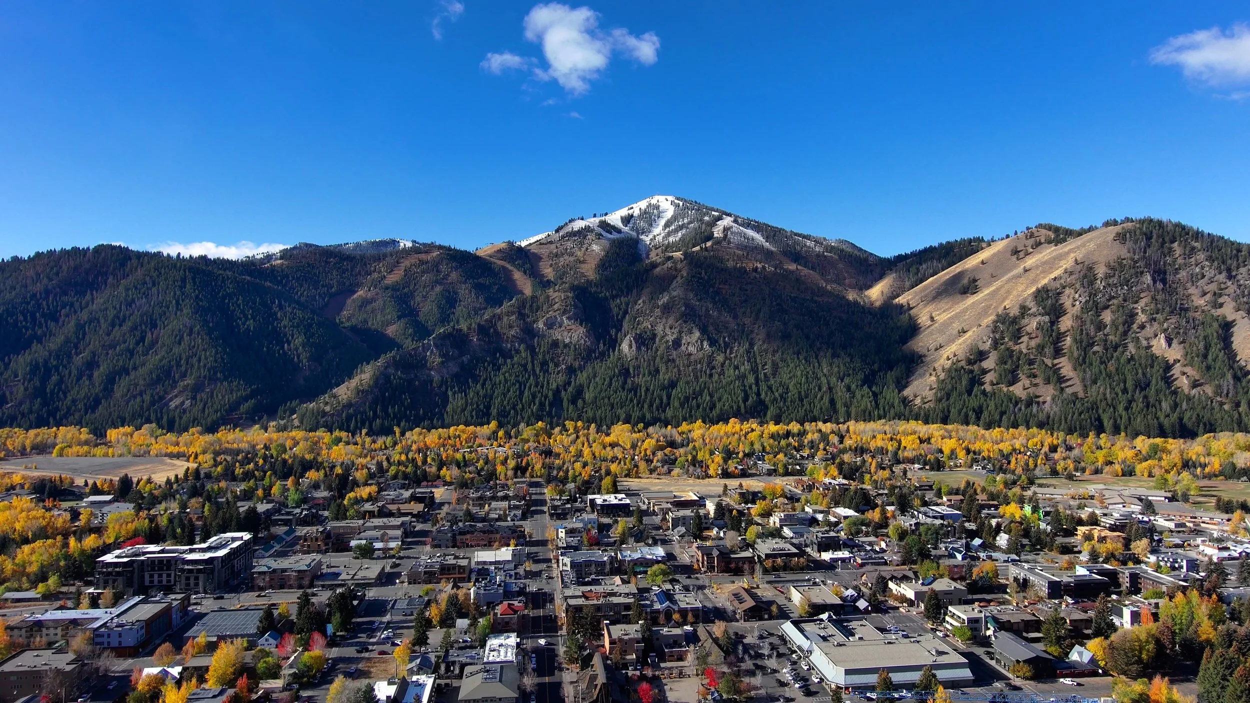 Sundholm Real Estate