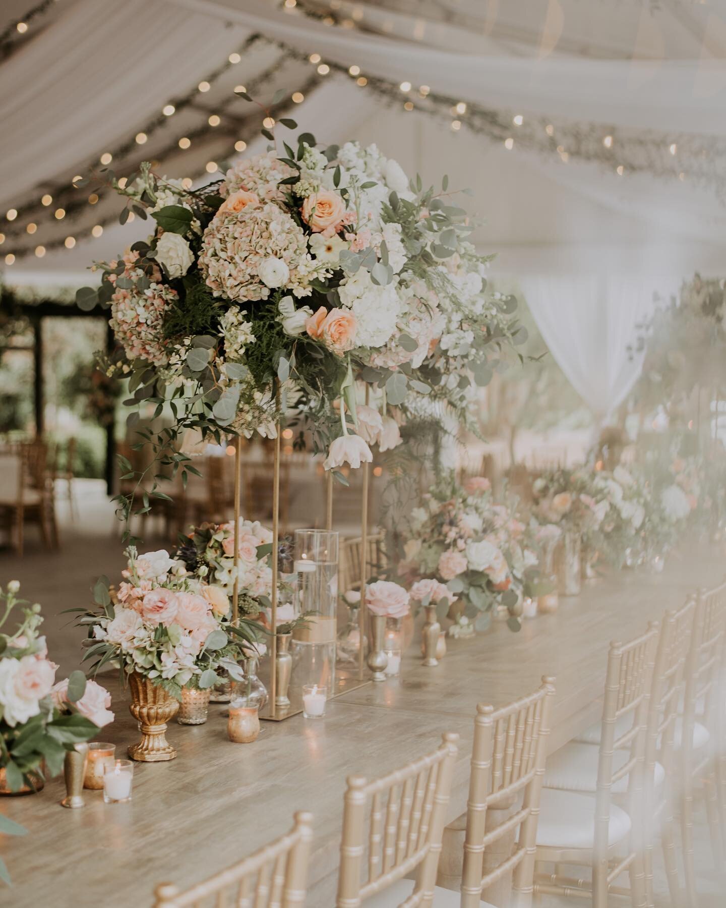 Spring is coming&hellip;and it&rsquo;s going to be dreamy! Love this dreamlike shot by @connectionphotography from Sarah + Chris&rsquo; wedding day! 
.
.
.
#weddingplanningcharlotte #jackiefogartieevents #charlotteweddings #weddingplannercharlotte #c