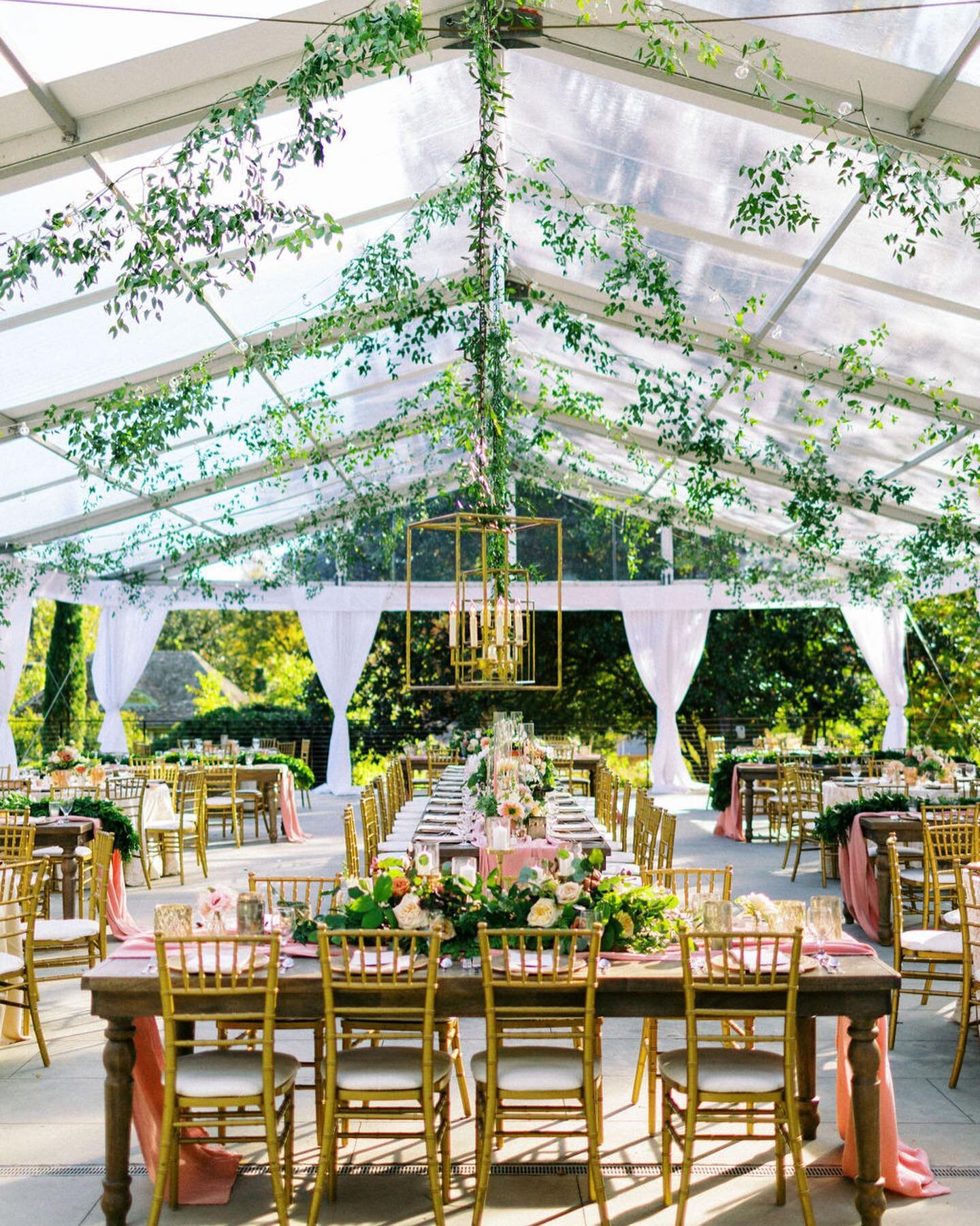 This tent was like a real life fairyland! Thank you for capturing this beautiful day @laurenrosenauphotography .
.
.
#weddingplanningcharlotte#jackiefogartieevents #charlotteweddings #weddingplannercharlotte #charlotteweddingplanner #vanlandinghamest