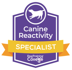 Canine-reactivity-Speacialist-300x290.png