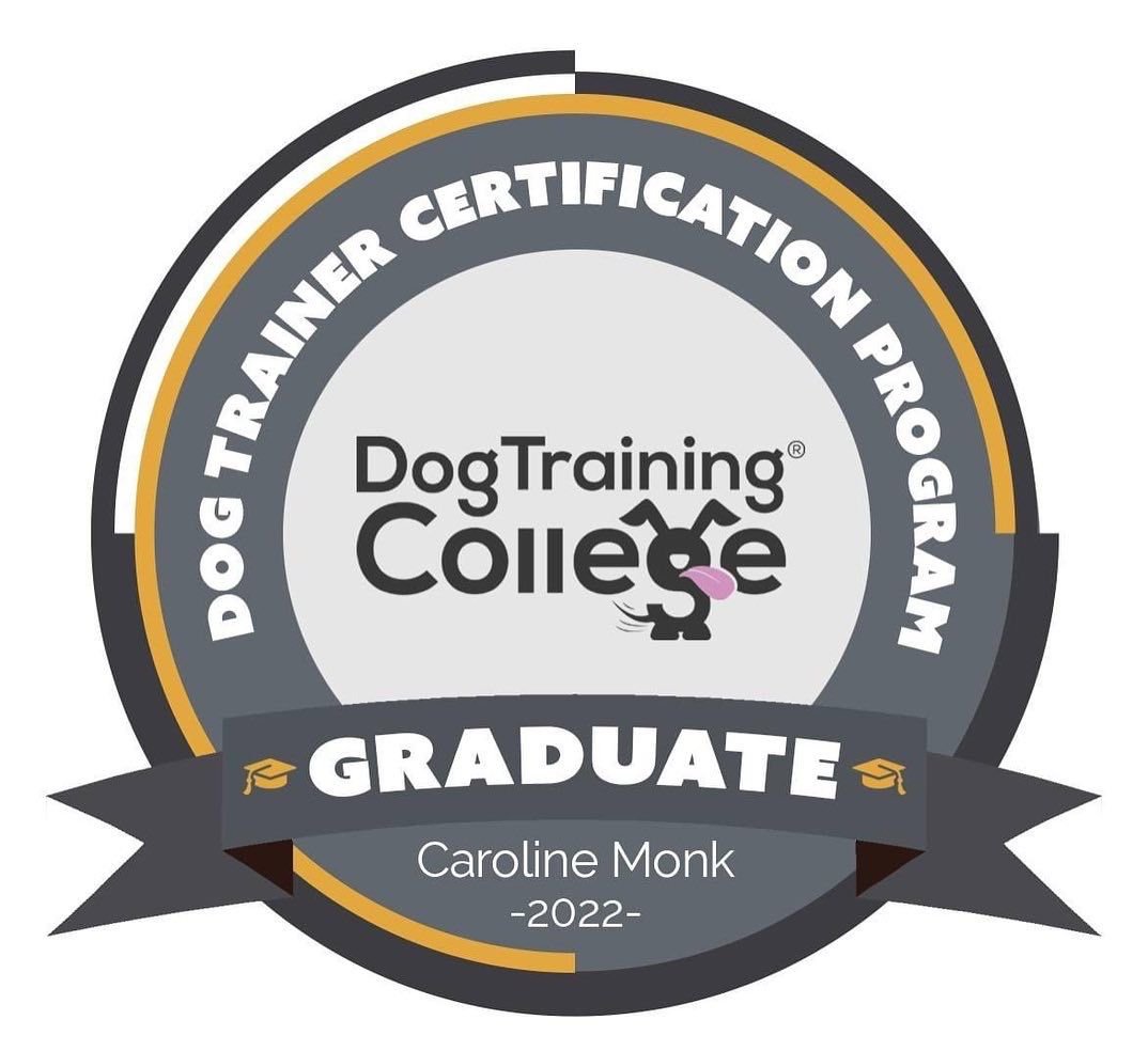 Dog Training College.jpg