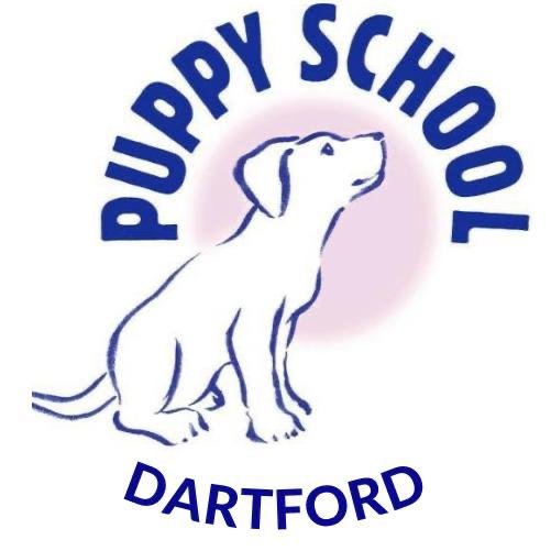 Puppy School Dartford.jpg