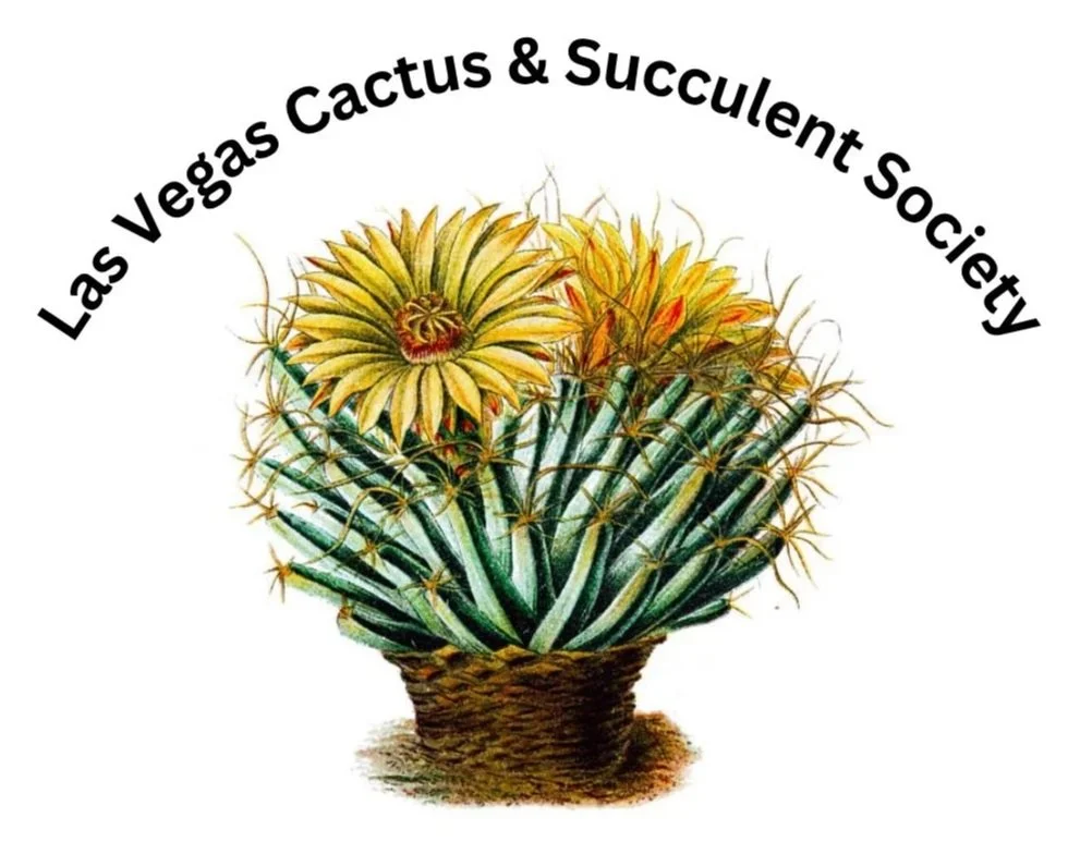 Cacus & Succulent Society Logo