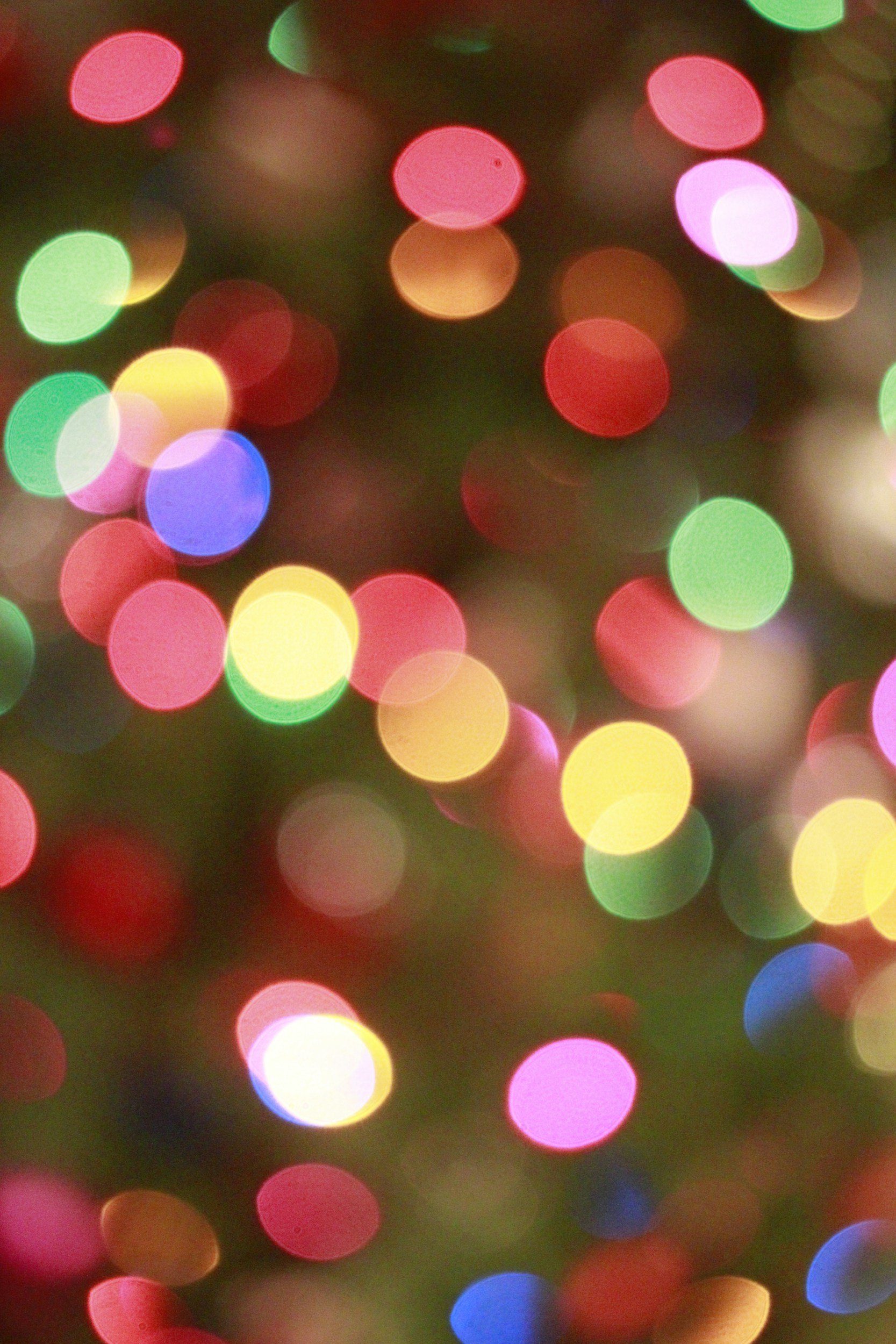 Deck the Halls of Piedmont and Lighting of the Tree