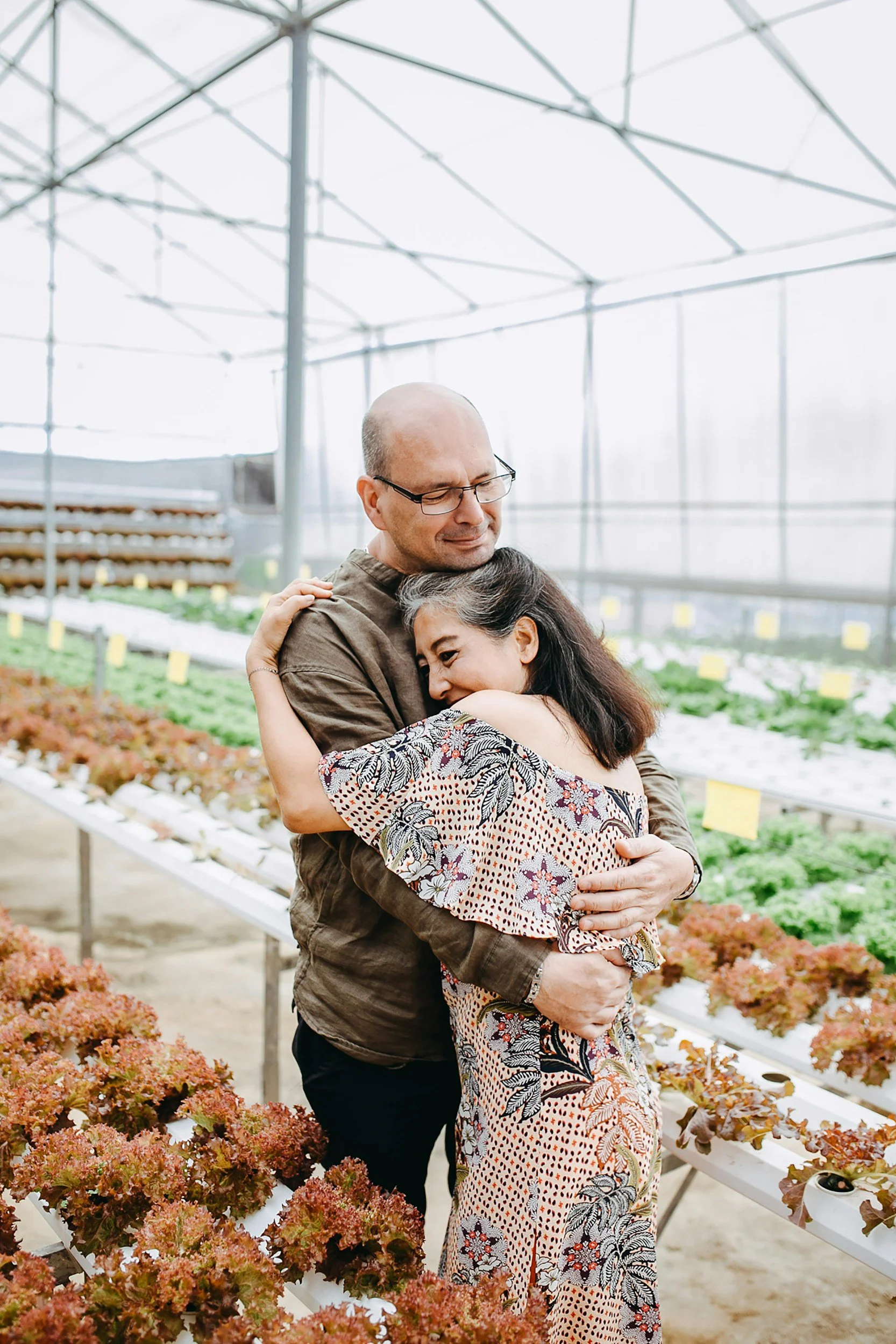 A man and woman hugging in a greenhouse with rows of lettuce and other greens.