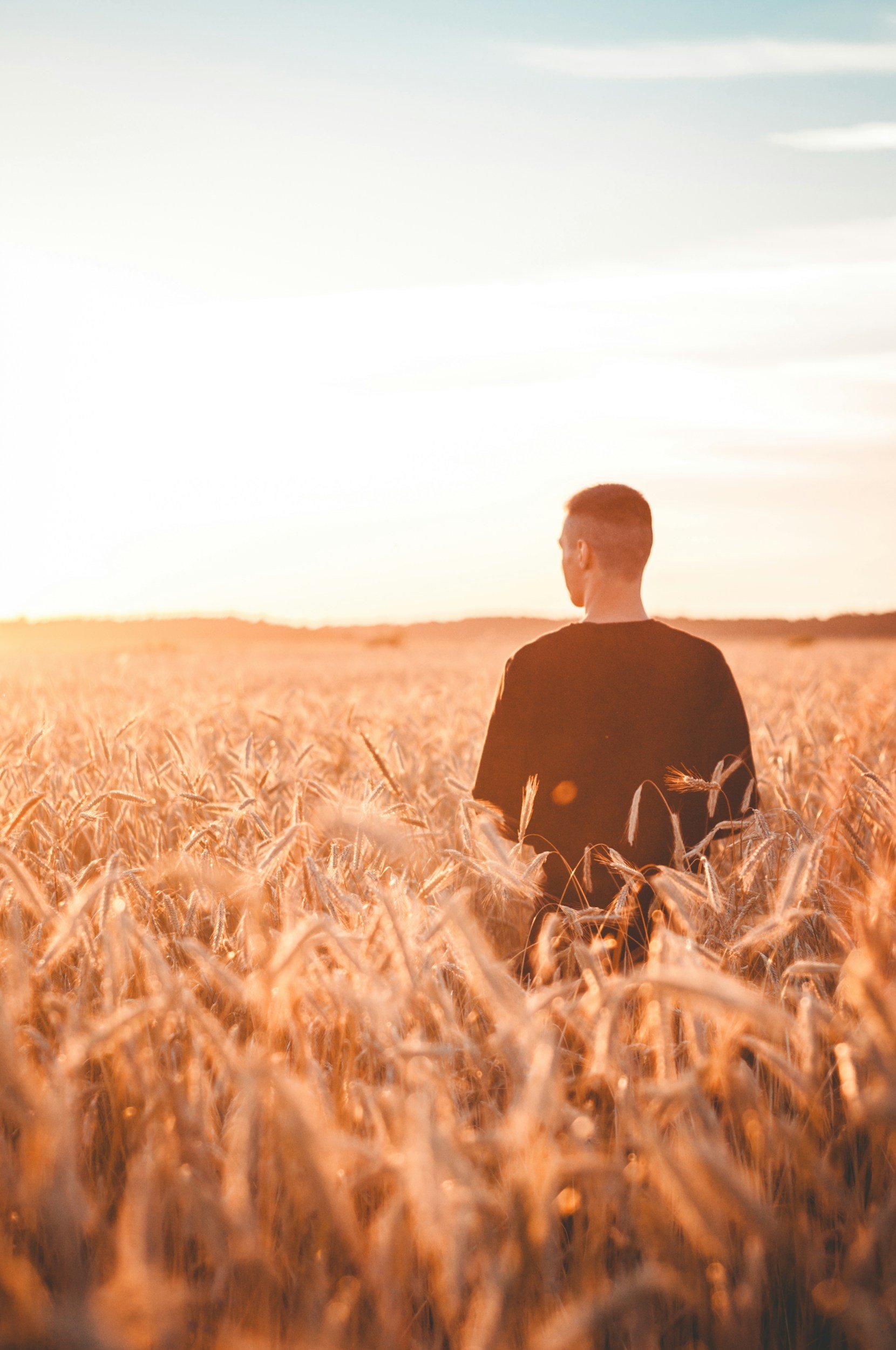 A person standing in a wheat field at sunset, facing away from the camera.