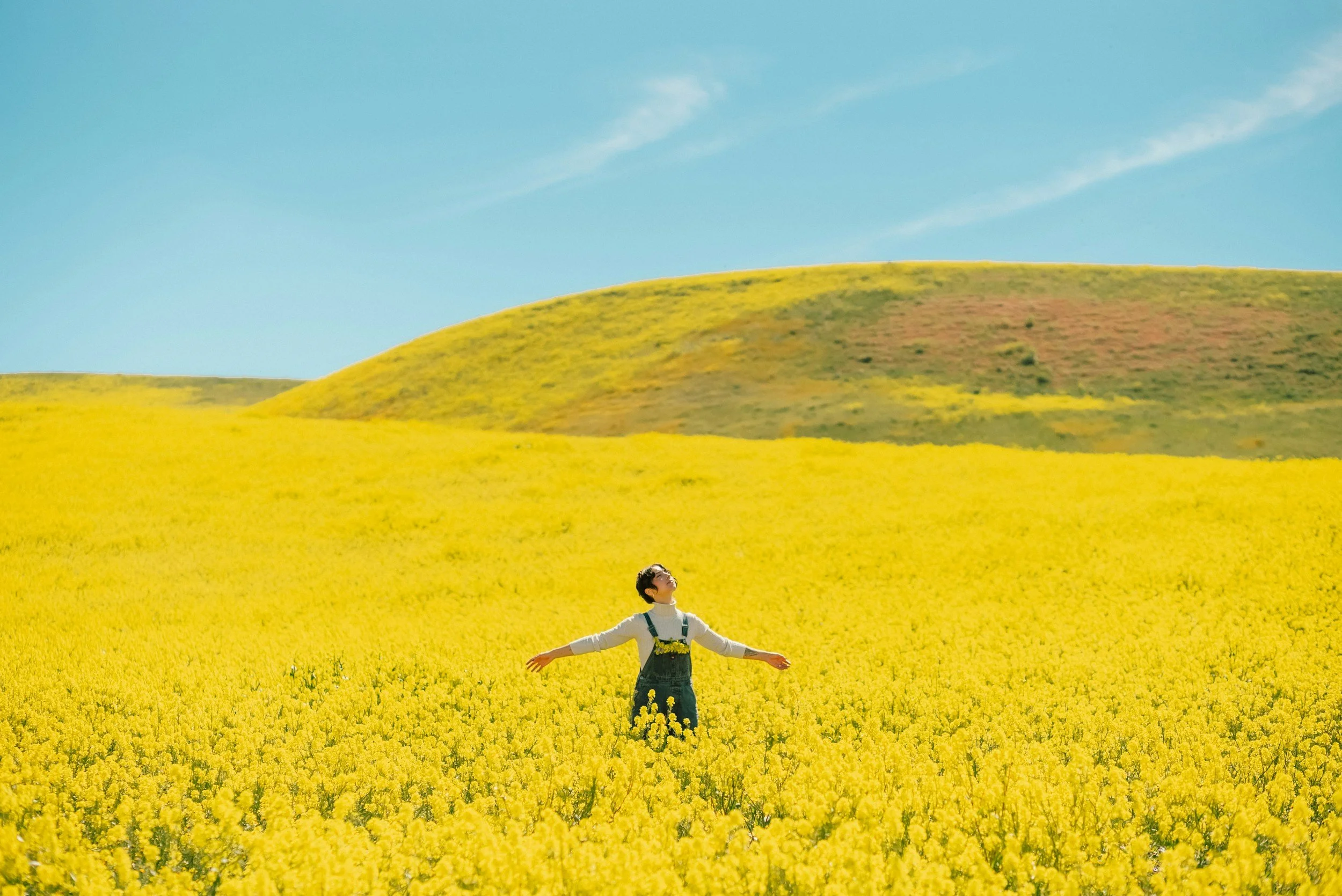 A person standing in a yellow flower field with arms outstretched, wearing a white shirt and overalls, under a blue sky.
