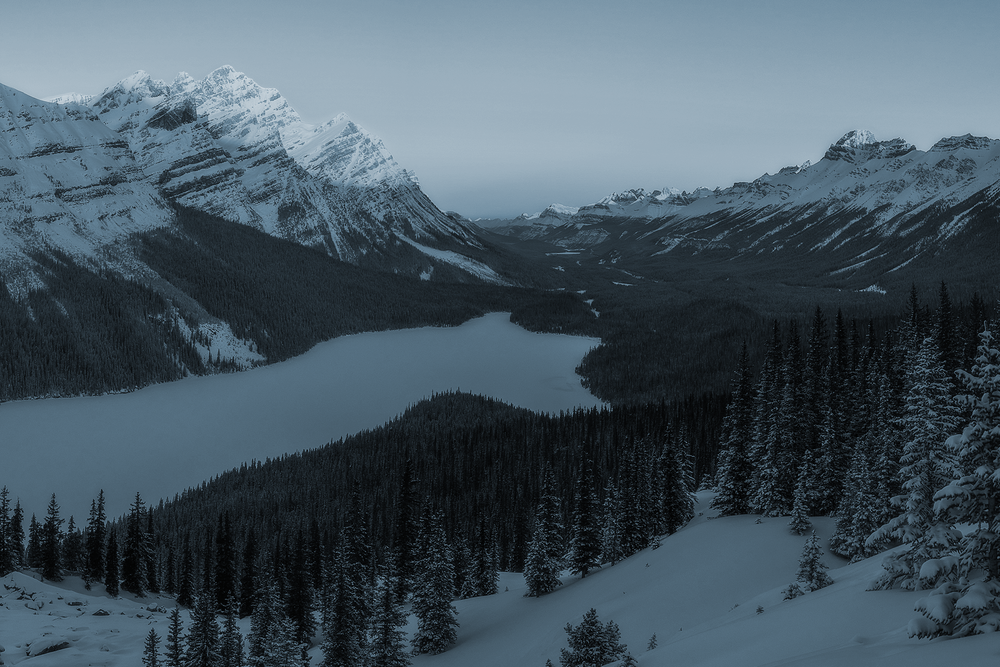 Law Student Scholarship Foundation Indigenous Bar Association law-student-scholarship-foundation-indigenous-bar-association