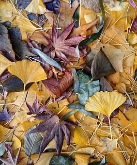 Mindful of Mindfulness