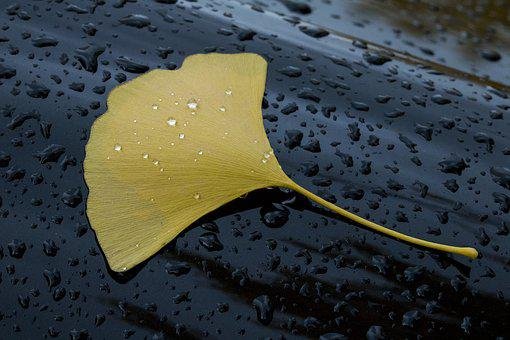 Soothing Touch