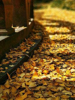 Crossing the Threshold