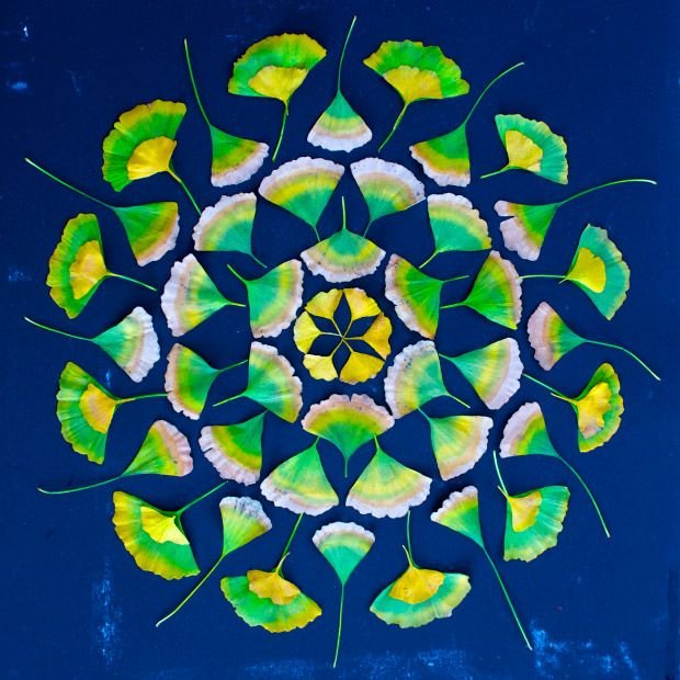 Mandala Magnetism