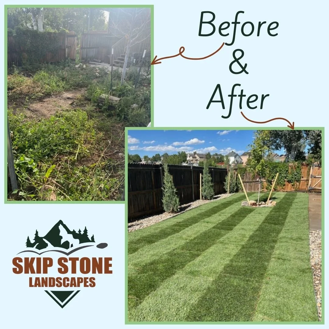 Before-After 5 2.jpg