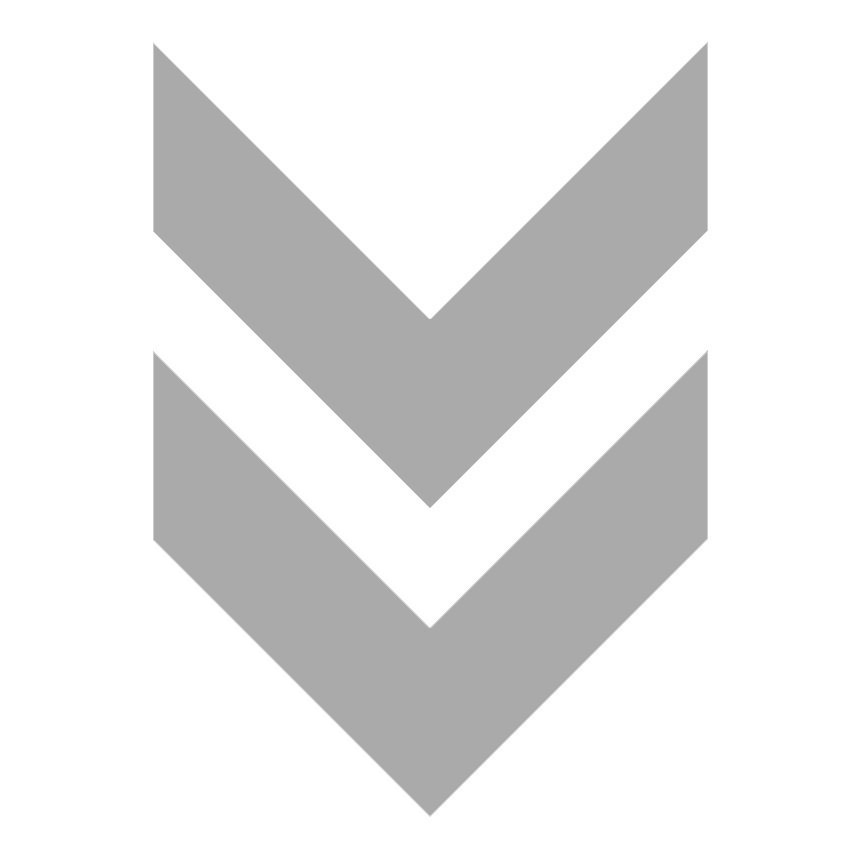 chevron-logo-gray.jpg