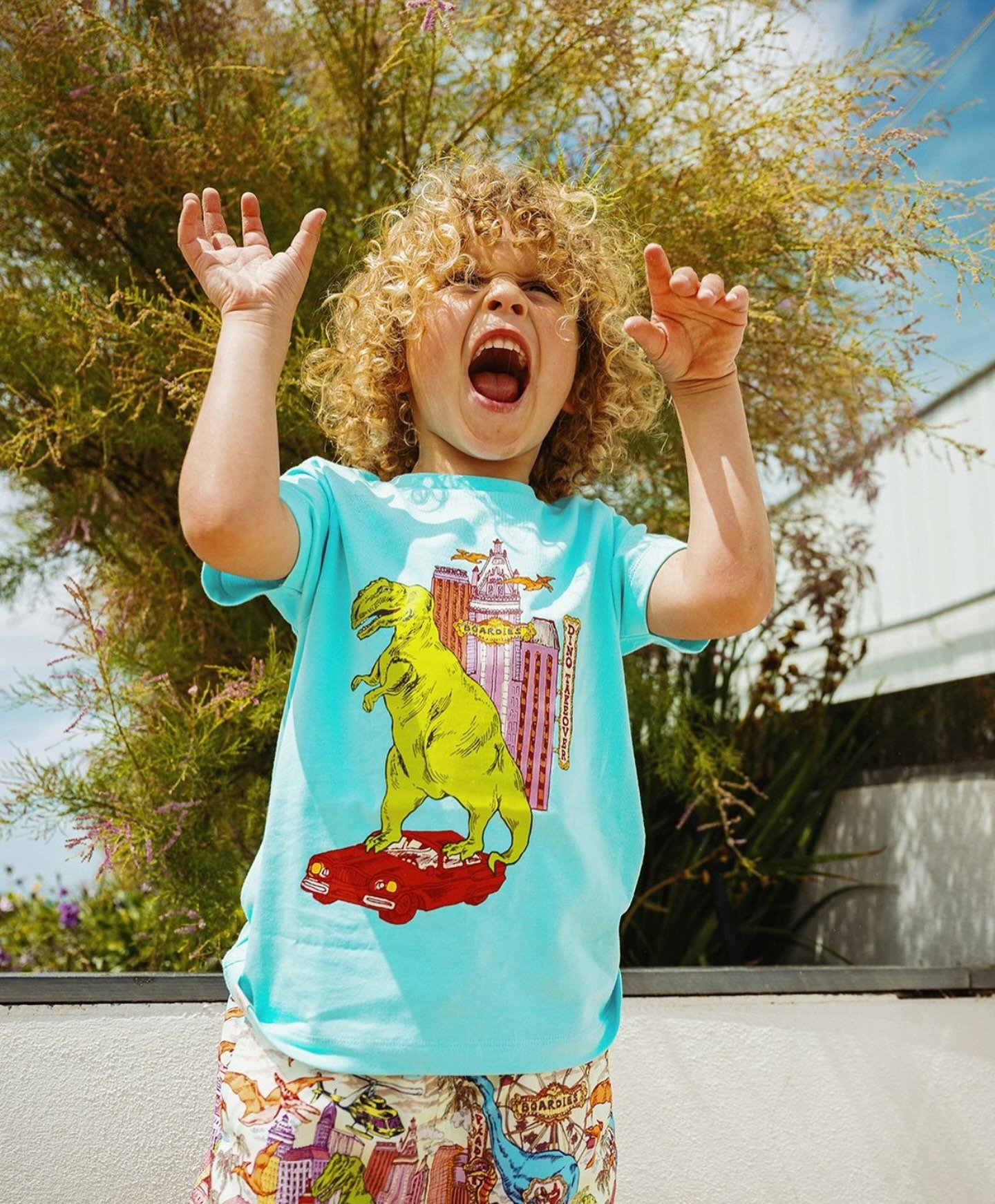 Rawwwwrrre 🦖 Reorder @boardieskids before they&rsquo;re gone for the season! DM for ATS 🦕🏢
