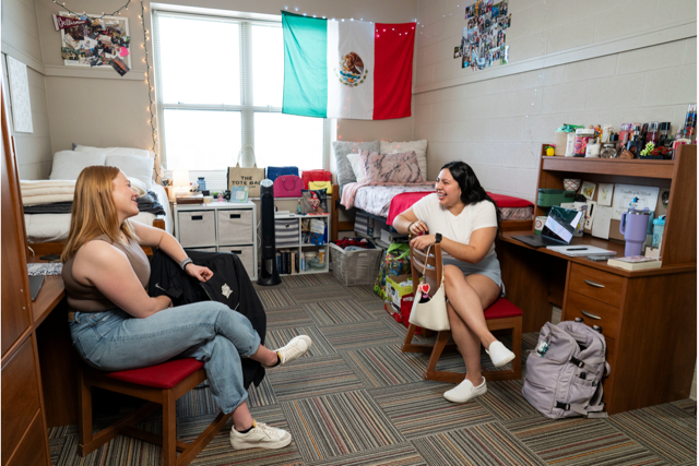 Transitions from Gap Year to College