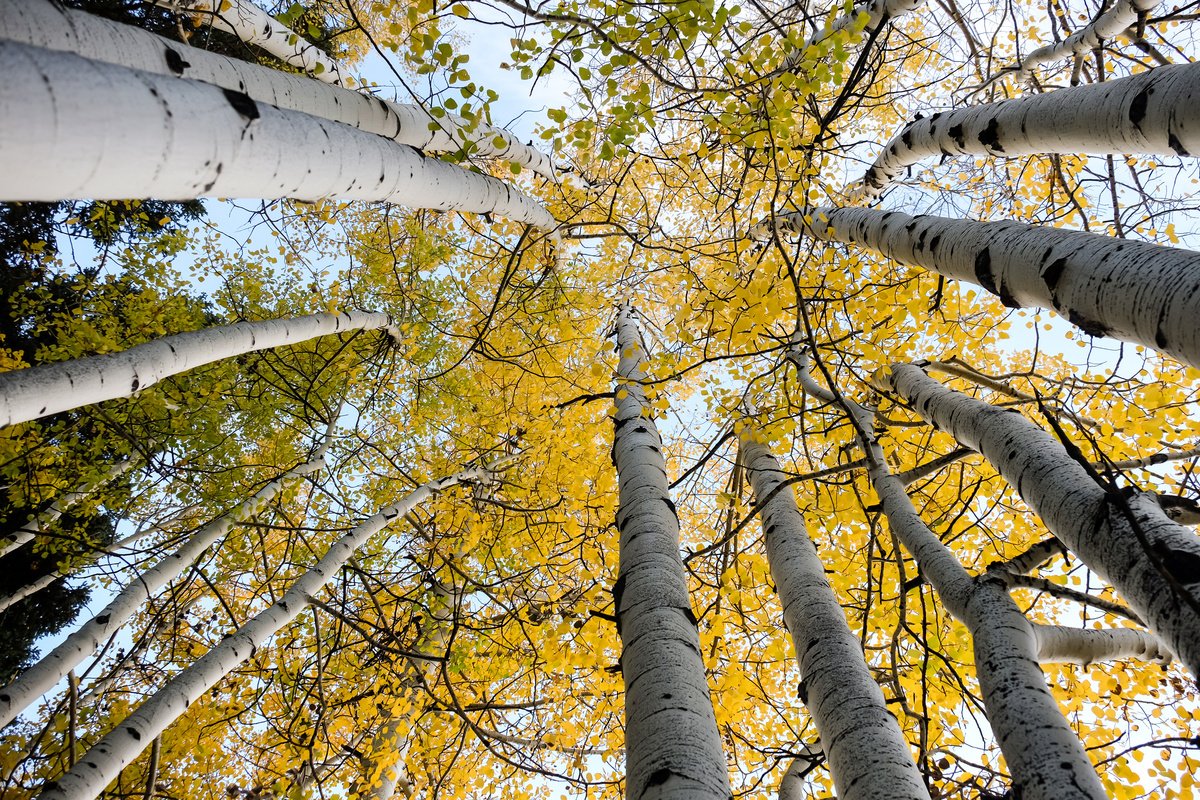 Weekend With a Friend