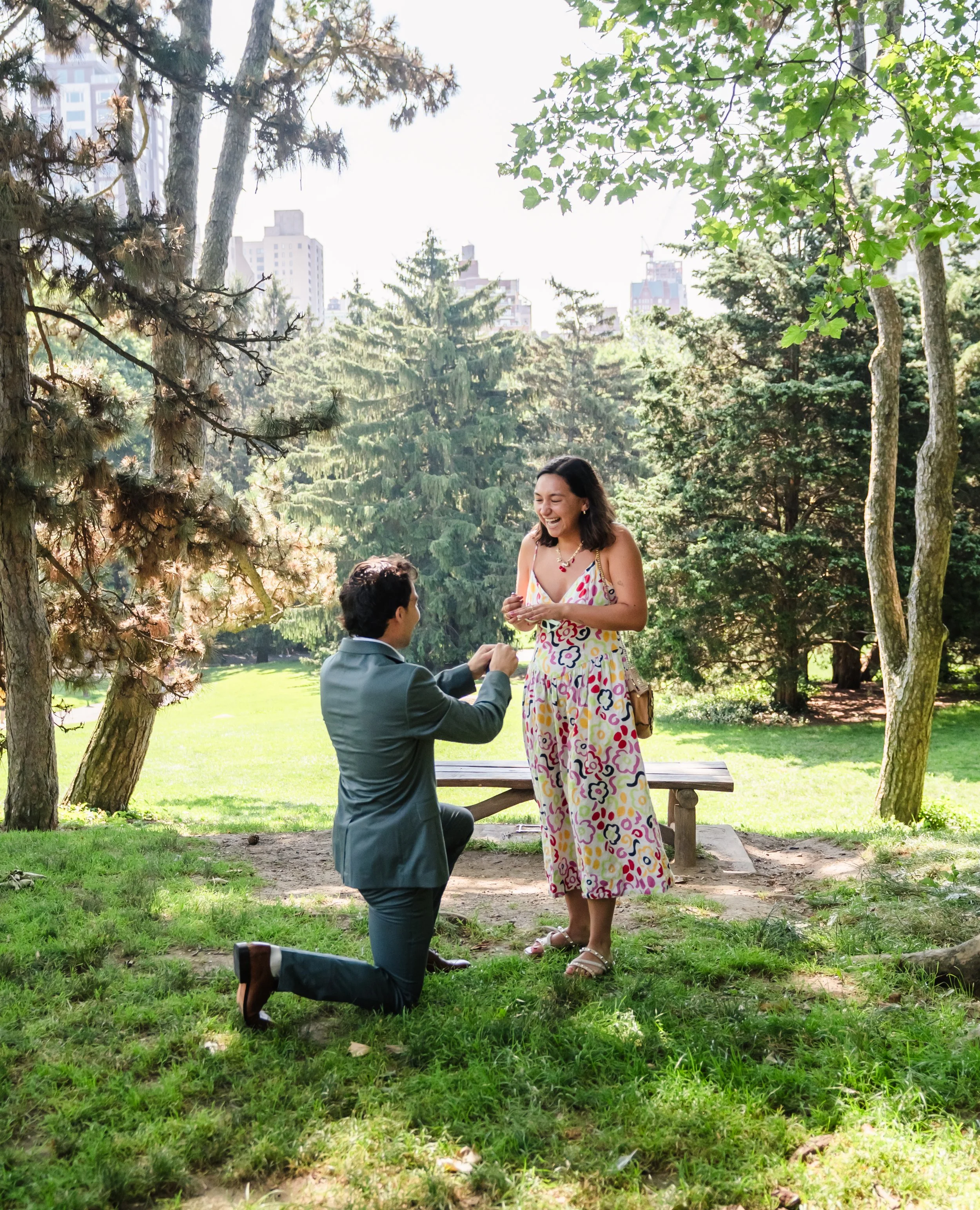 Proposing at Cedar Hill (Central Park, NYC)