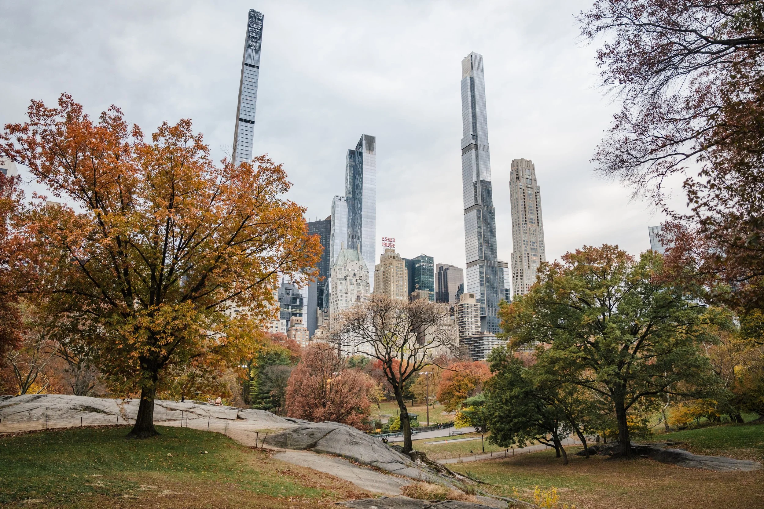 2025-11-13 - central park fall-2.jpg
