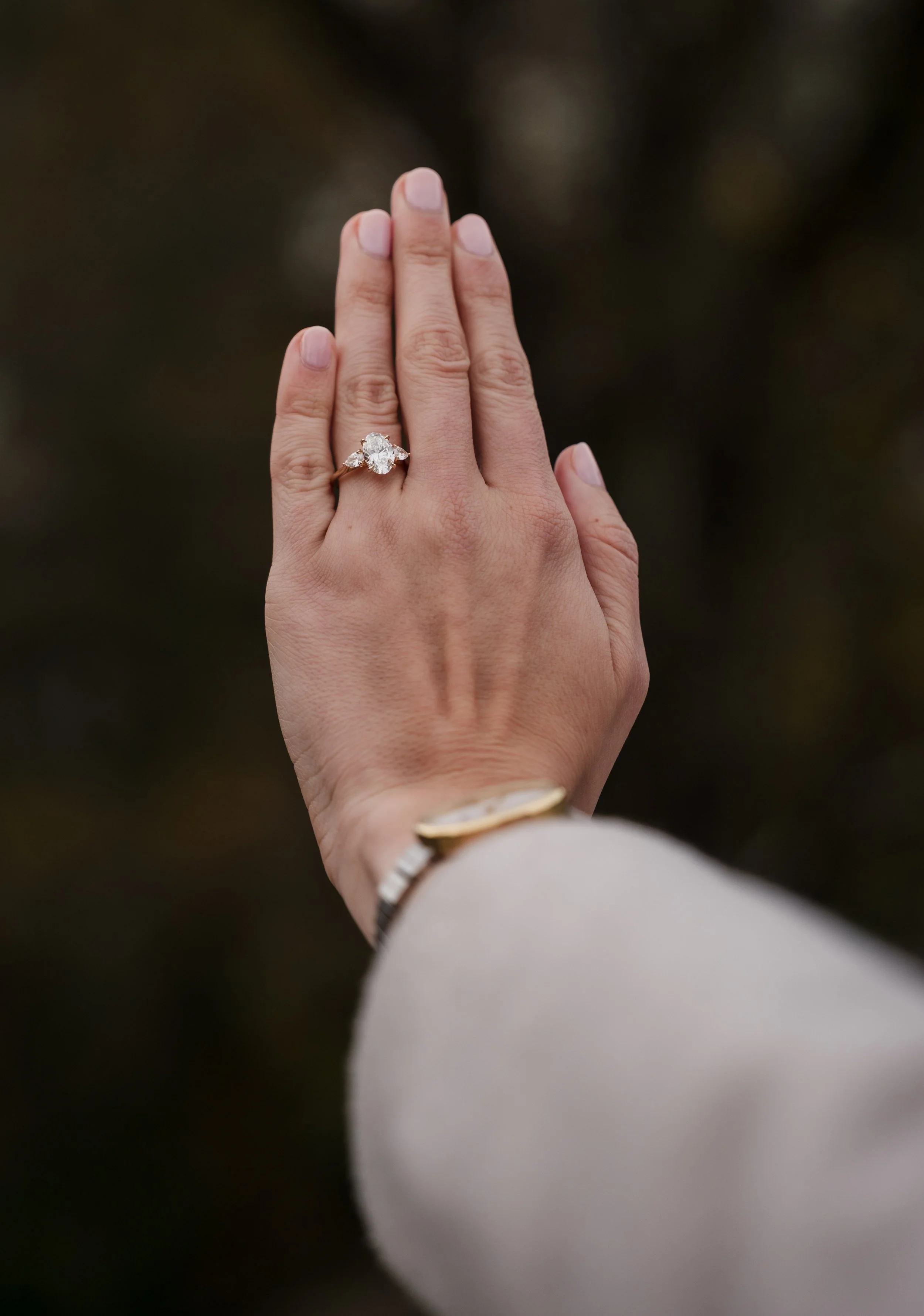 2025-11-14 - ryan cove proposal-437.jpg