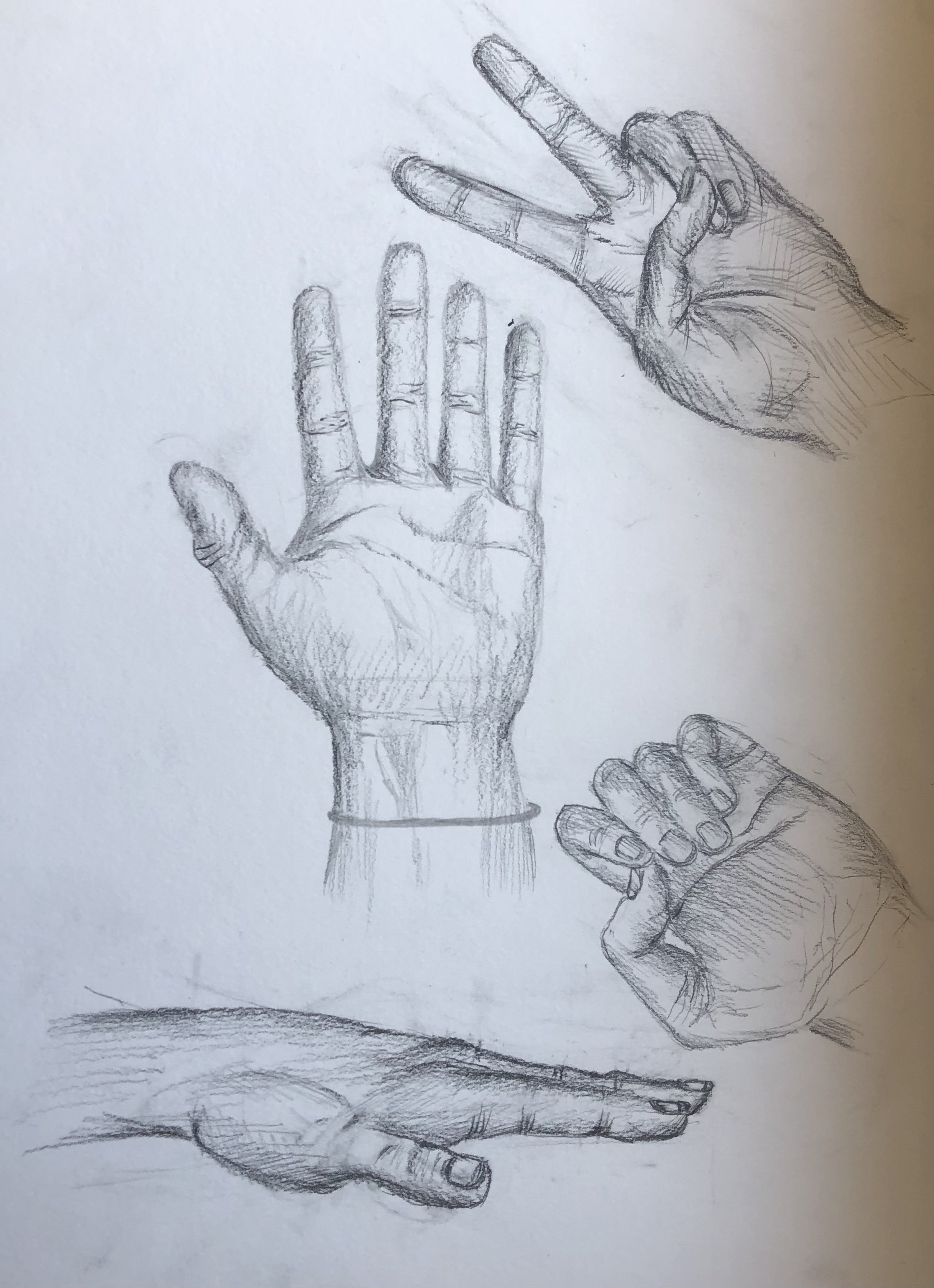 hand studies.jpg