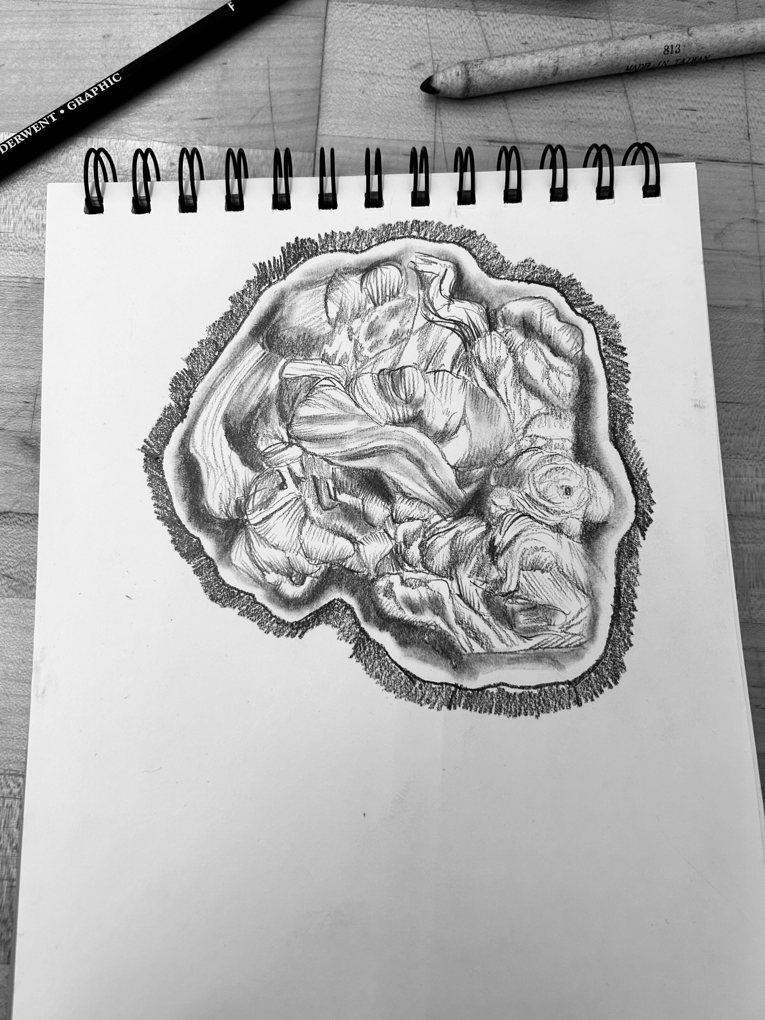 Amoeba Cotton Drawing 1.jpg