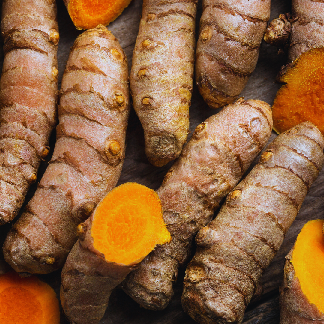 Turmeric (Curcuma longa)