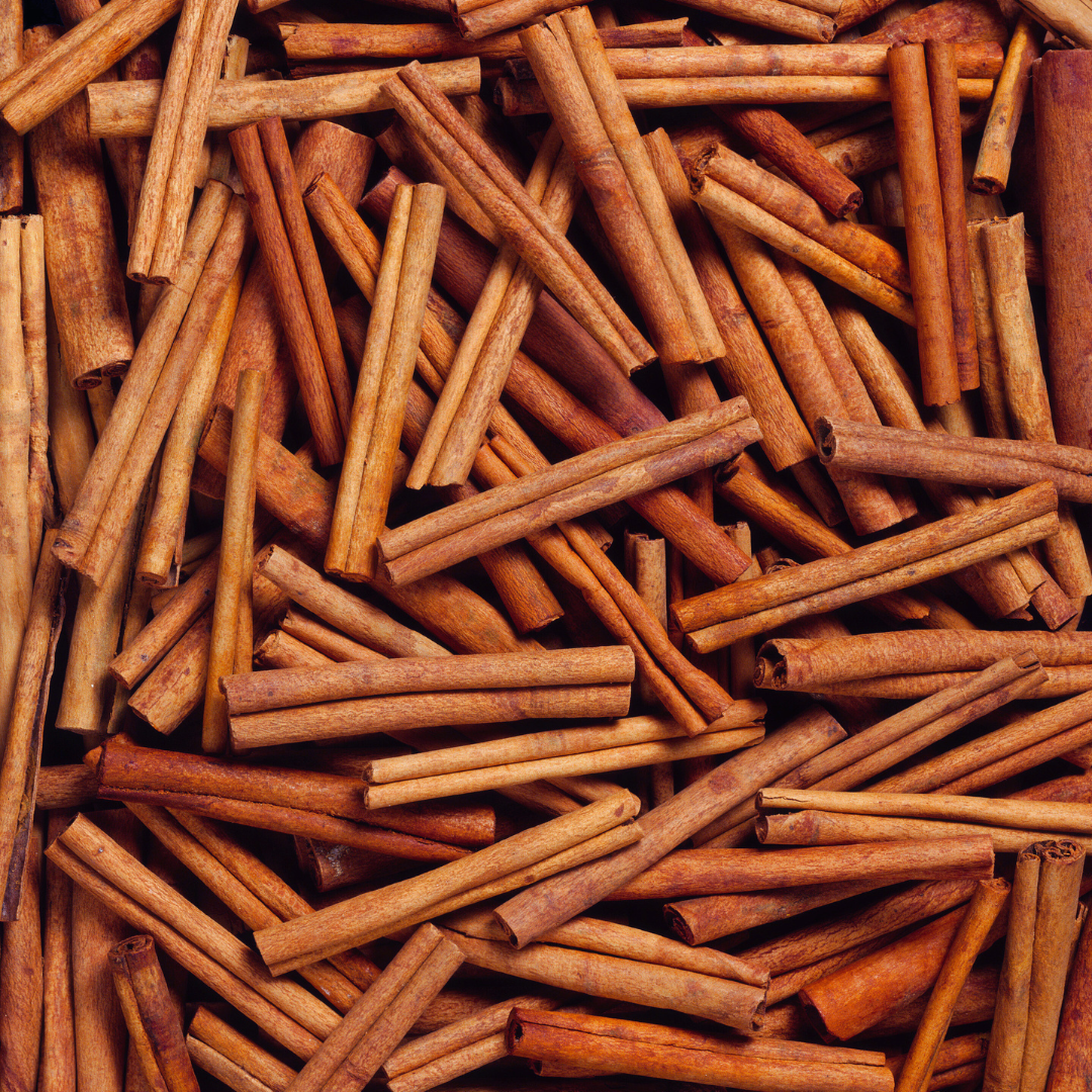 Cinnamon Bark (Cinamonum cassia)