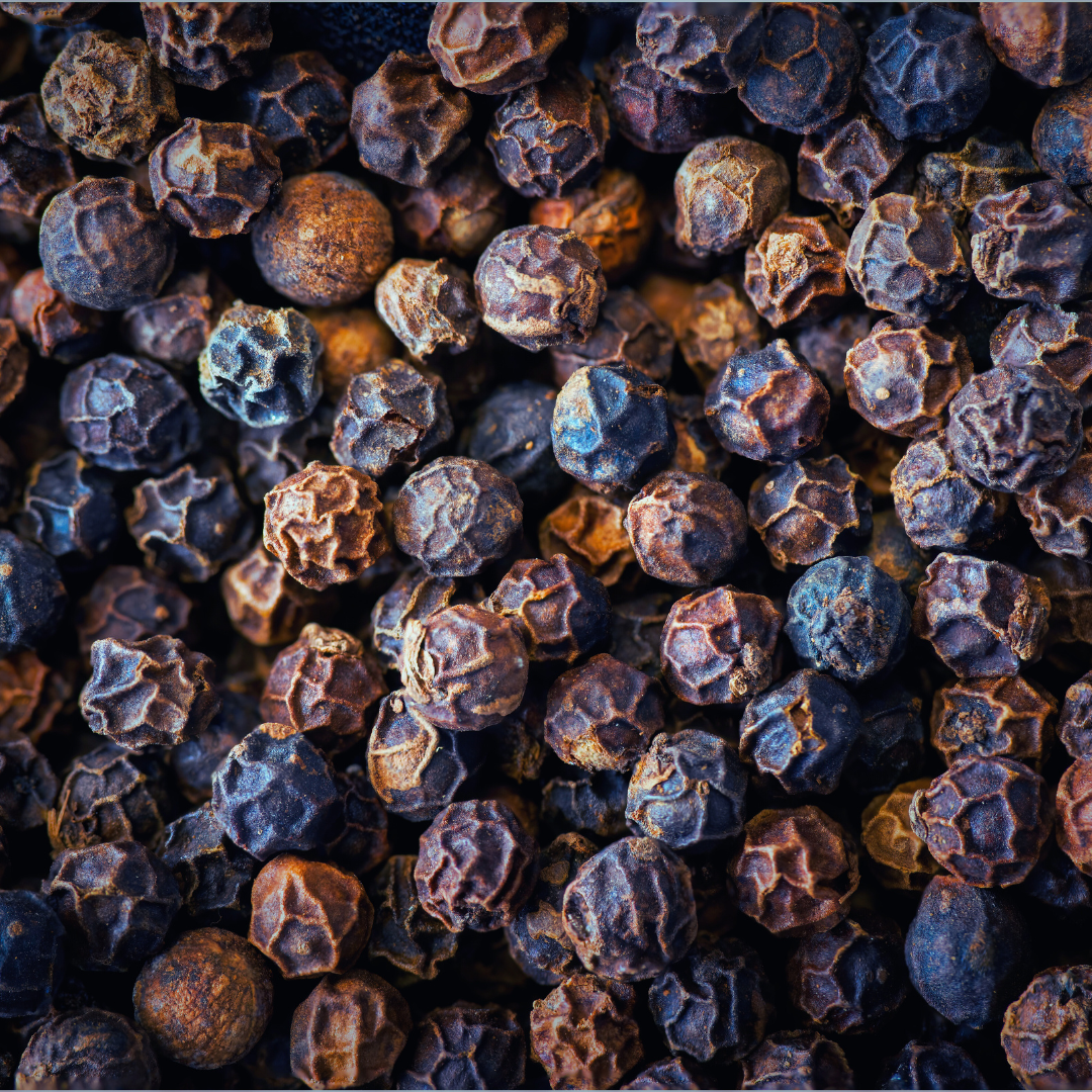 Black Pepper (Piper nigrum)