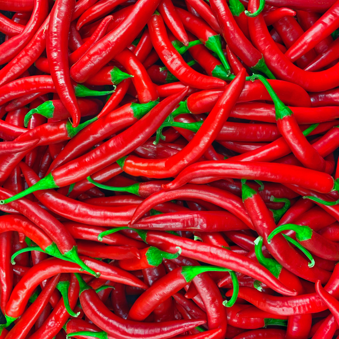 Cayenne (Capsicum annuum)
