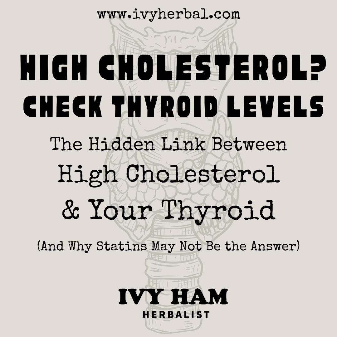 High Cholesterol? Check Thyroid Levels