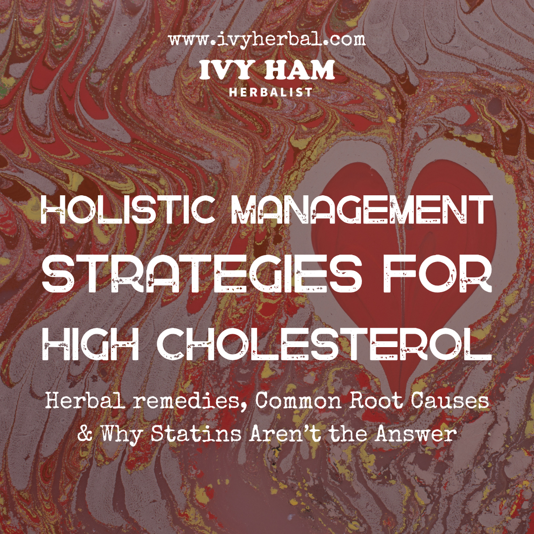 Holistic Ways to Manage High Cholesterol Naturally