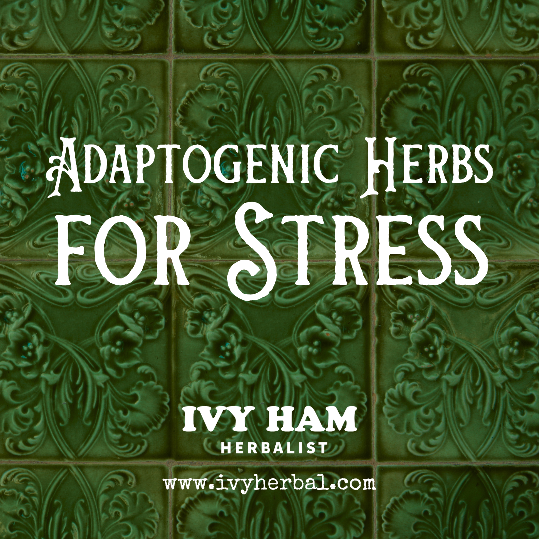 Adaptogenic Herbs for Stress