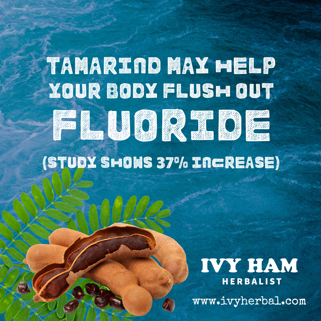 Tamarind May Help Your Body Flush Out Fluoride (Study Shows 37% Increase)