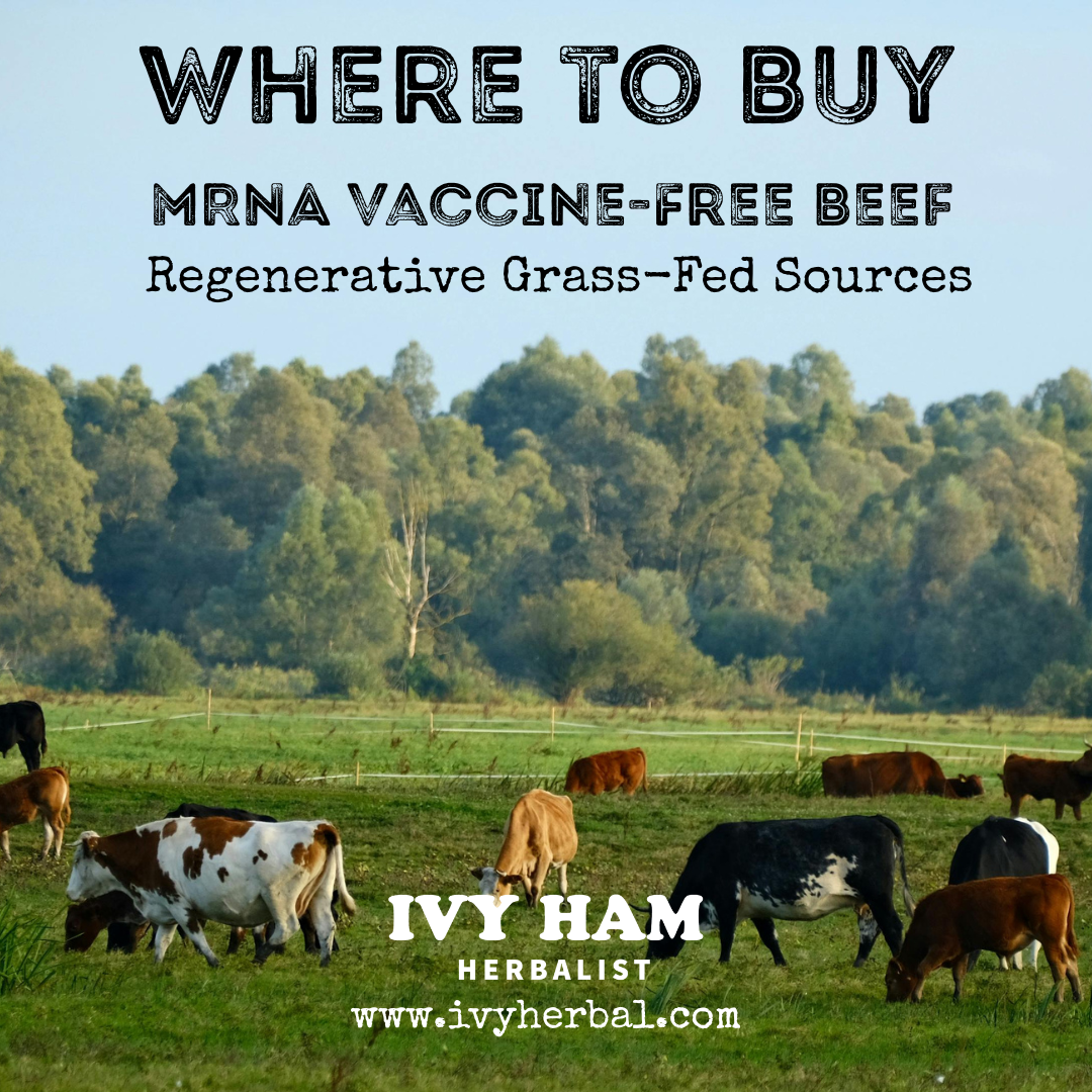 Where to Buy mRNA Vaccine-Free Beef | Regenerative Grass-Fed Sources