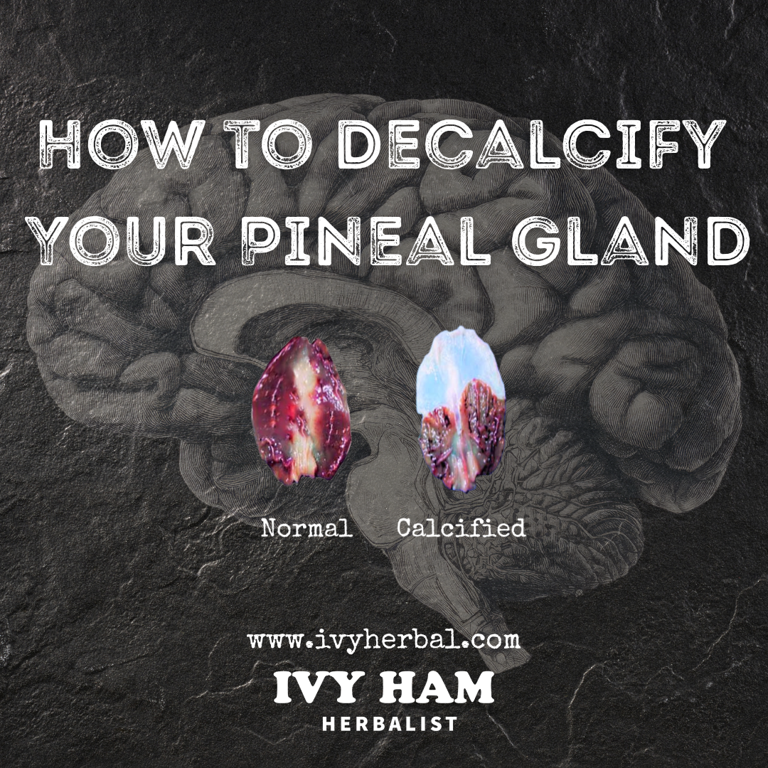 How to Decalcify Your Pineal Gland