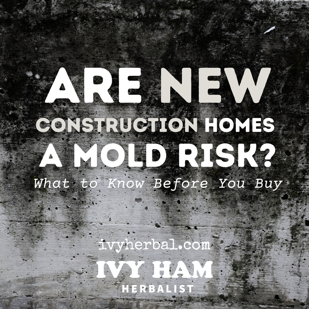 Are New Construction Homes a Mold Risk? What to Know Before You Buy
