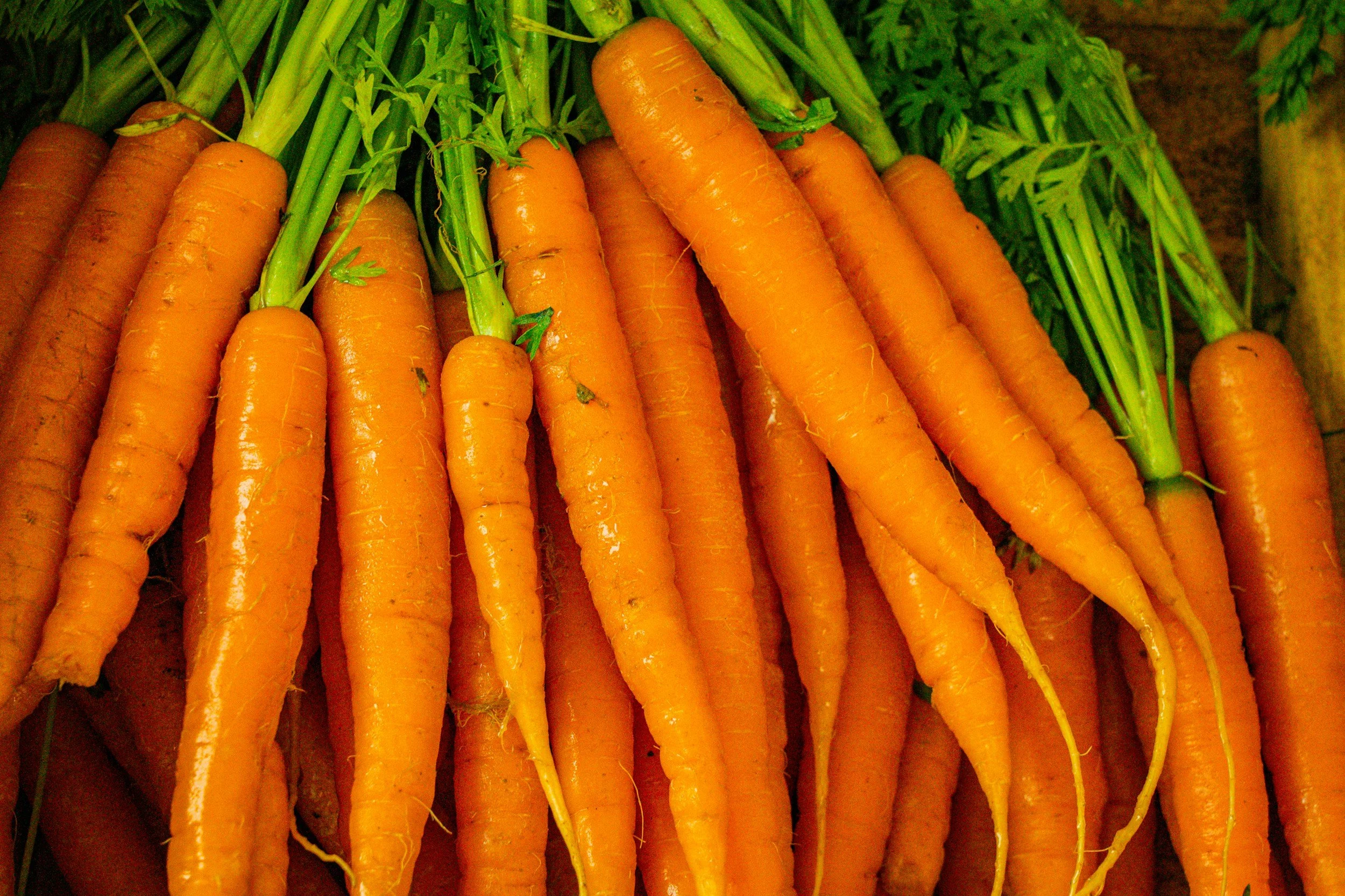 Are Carrots Fertility-Friendly? Separating the Root from the Seed