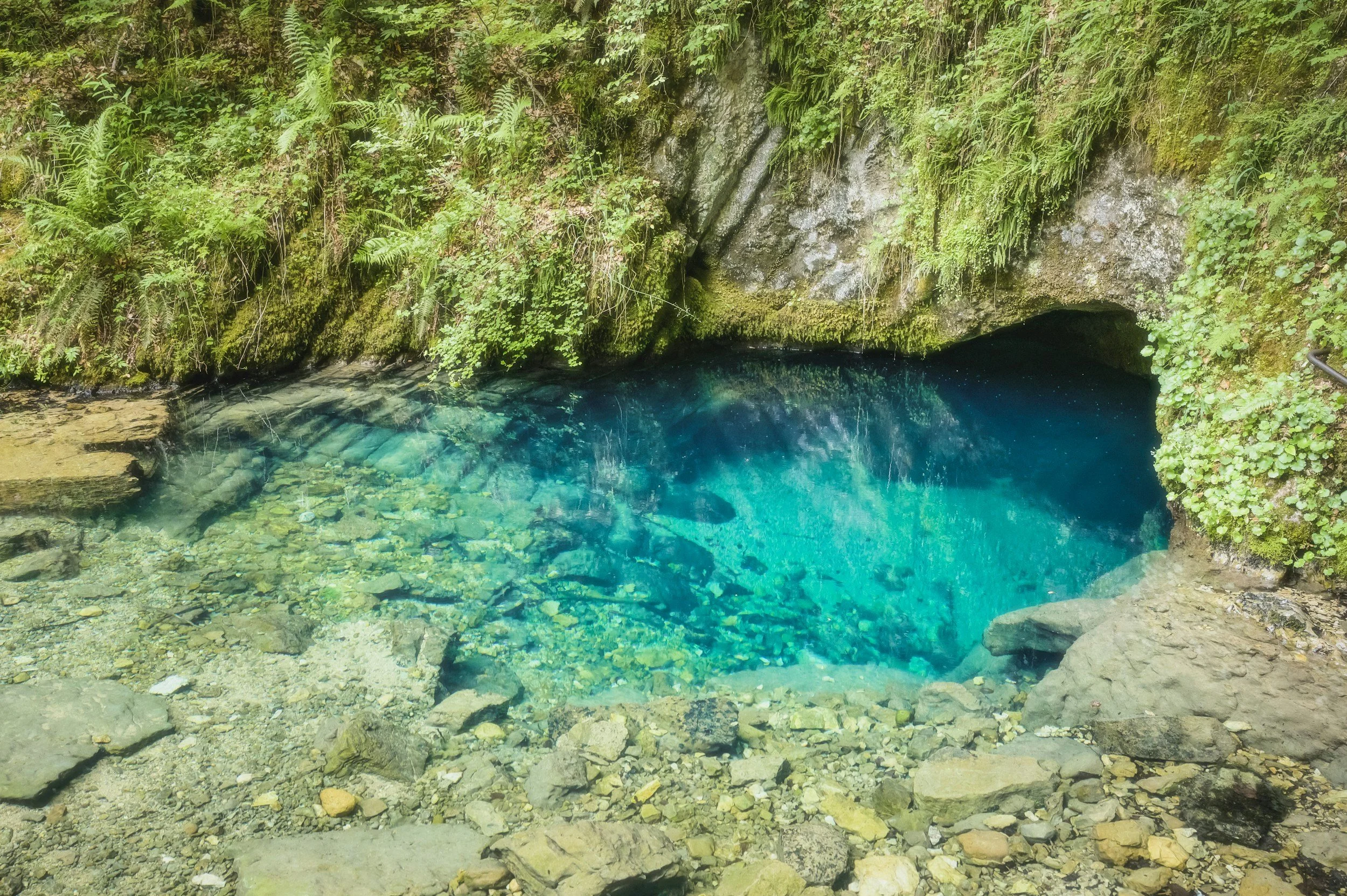 Best Spring Water Brands Compared: pH, Minerals, and Lab Data