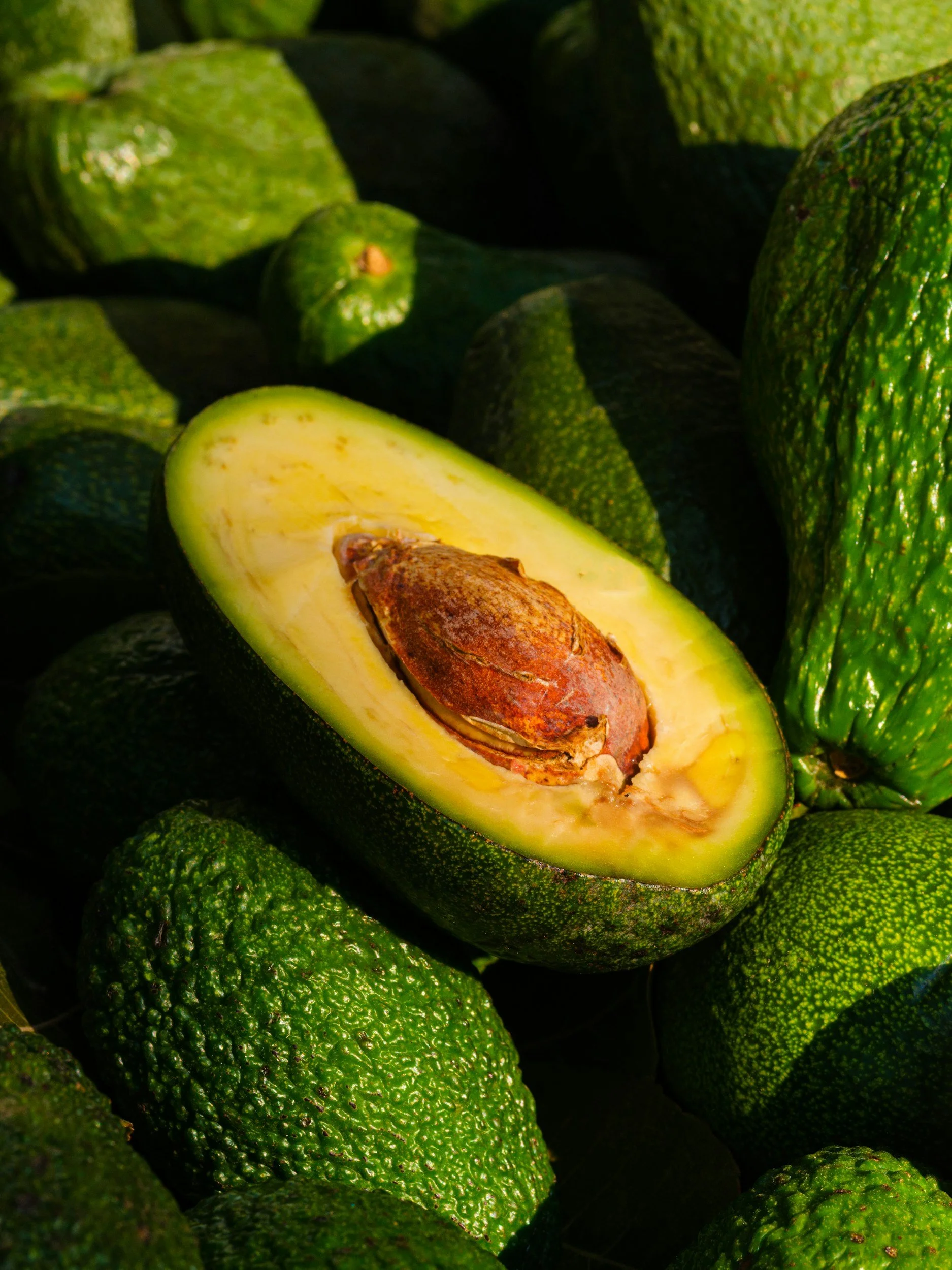 Avocado Oil Fraud: Lab Testing Finds Most Products Adulterated