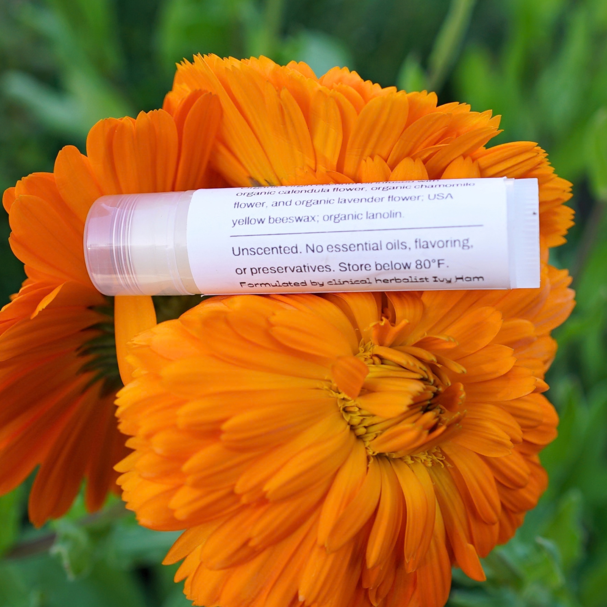 calendula chamomile lip balm(1).png