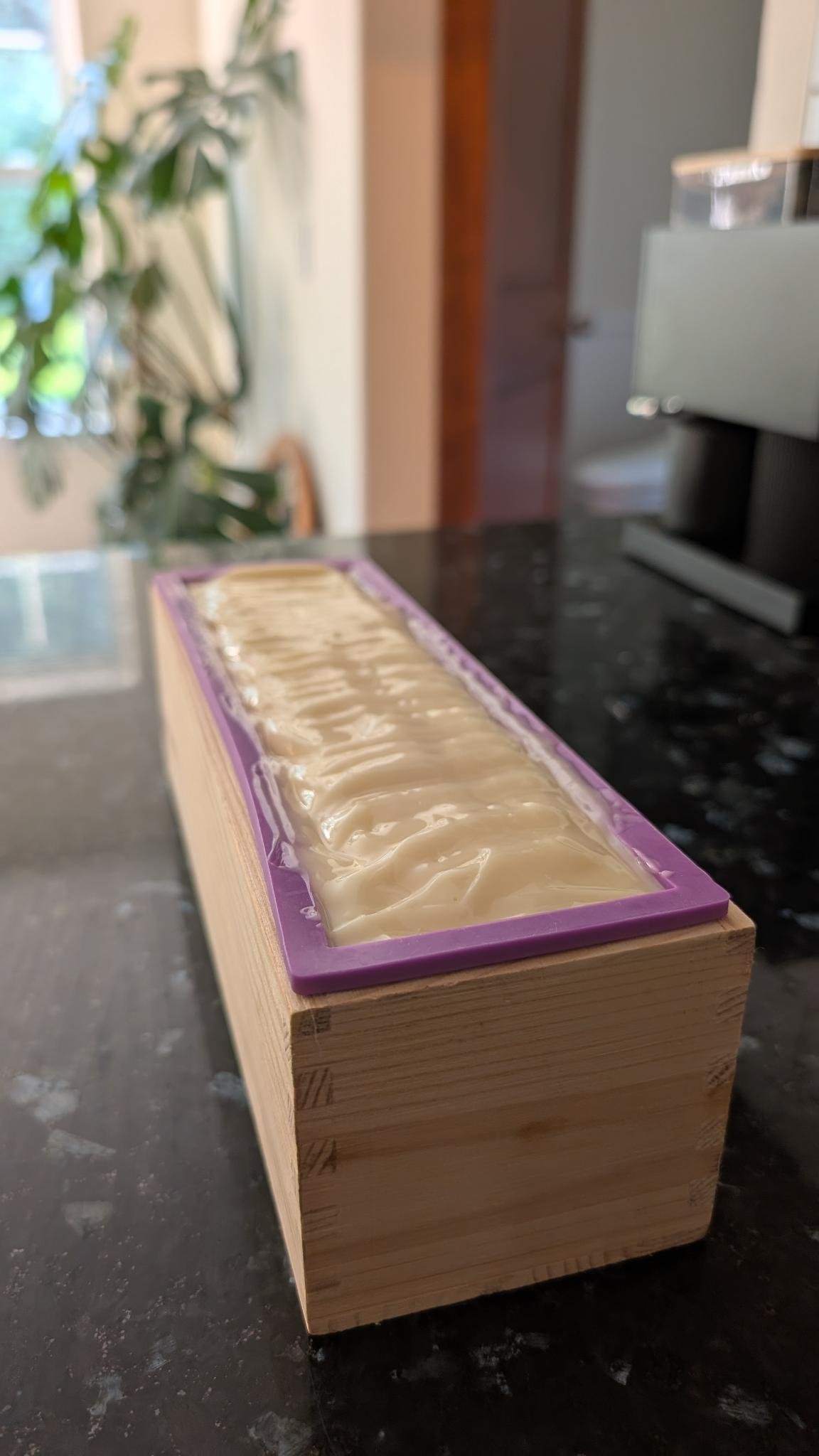 tallow castor soap.jpg