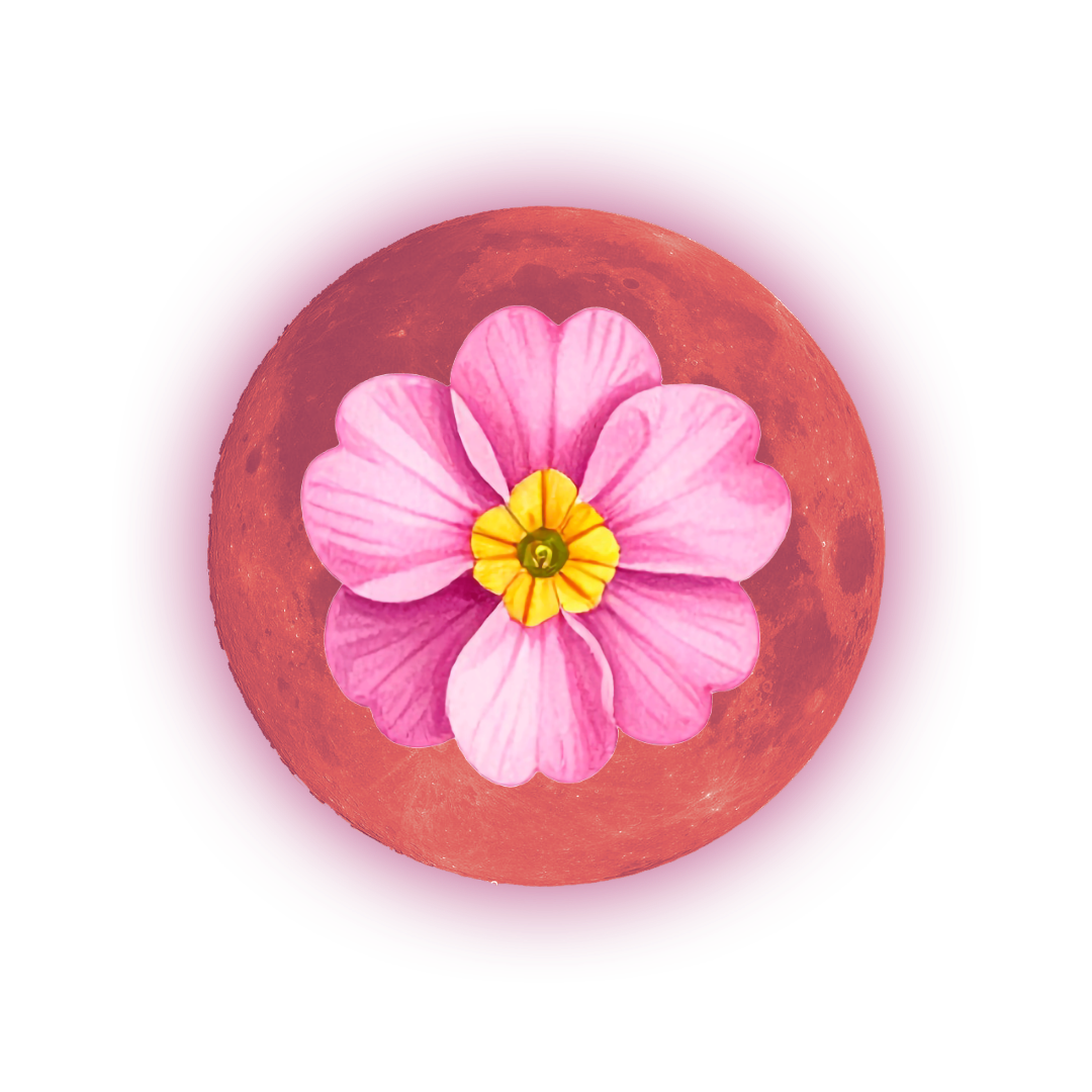 Primrose Period Tracker App