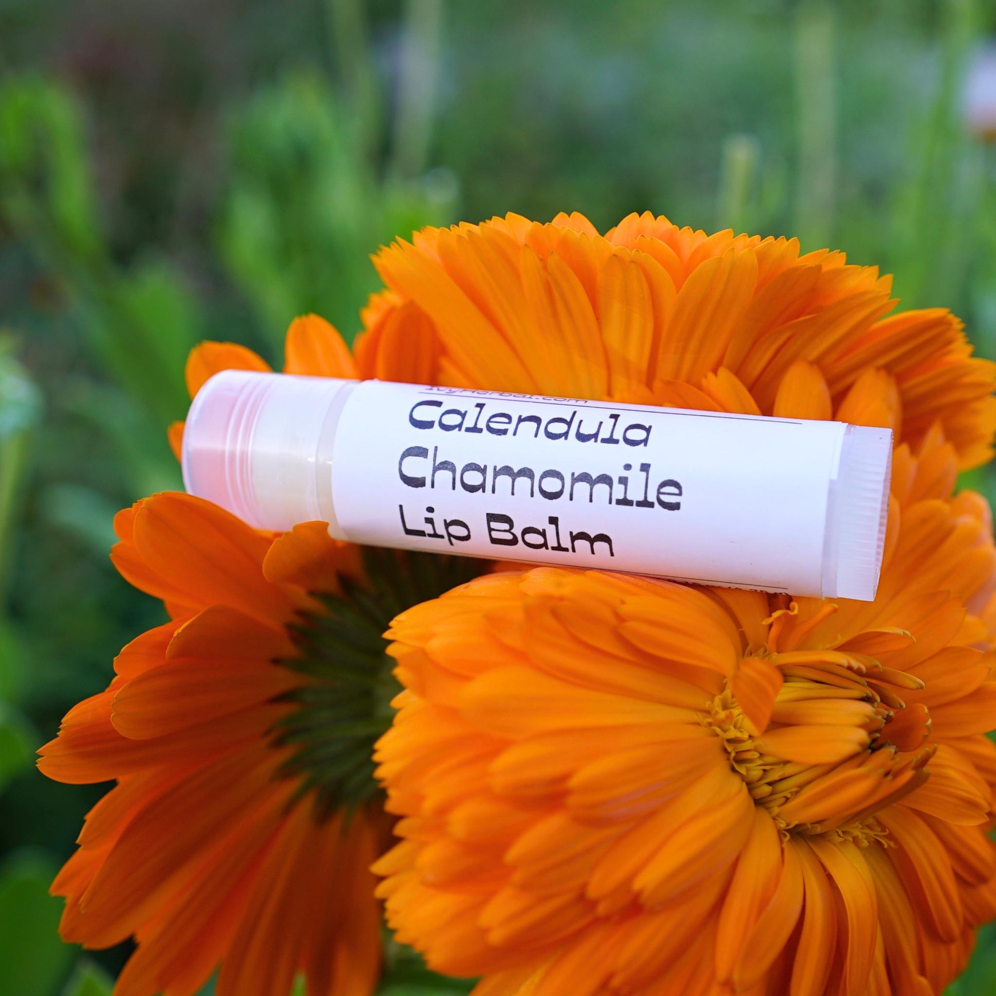 calendula chamomile lip balm.png