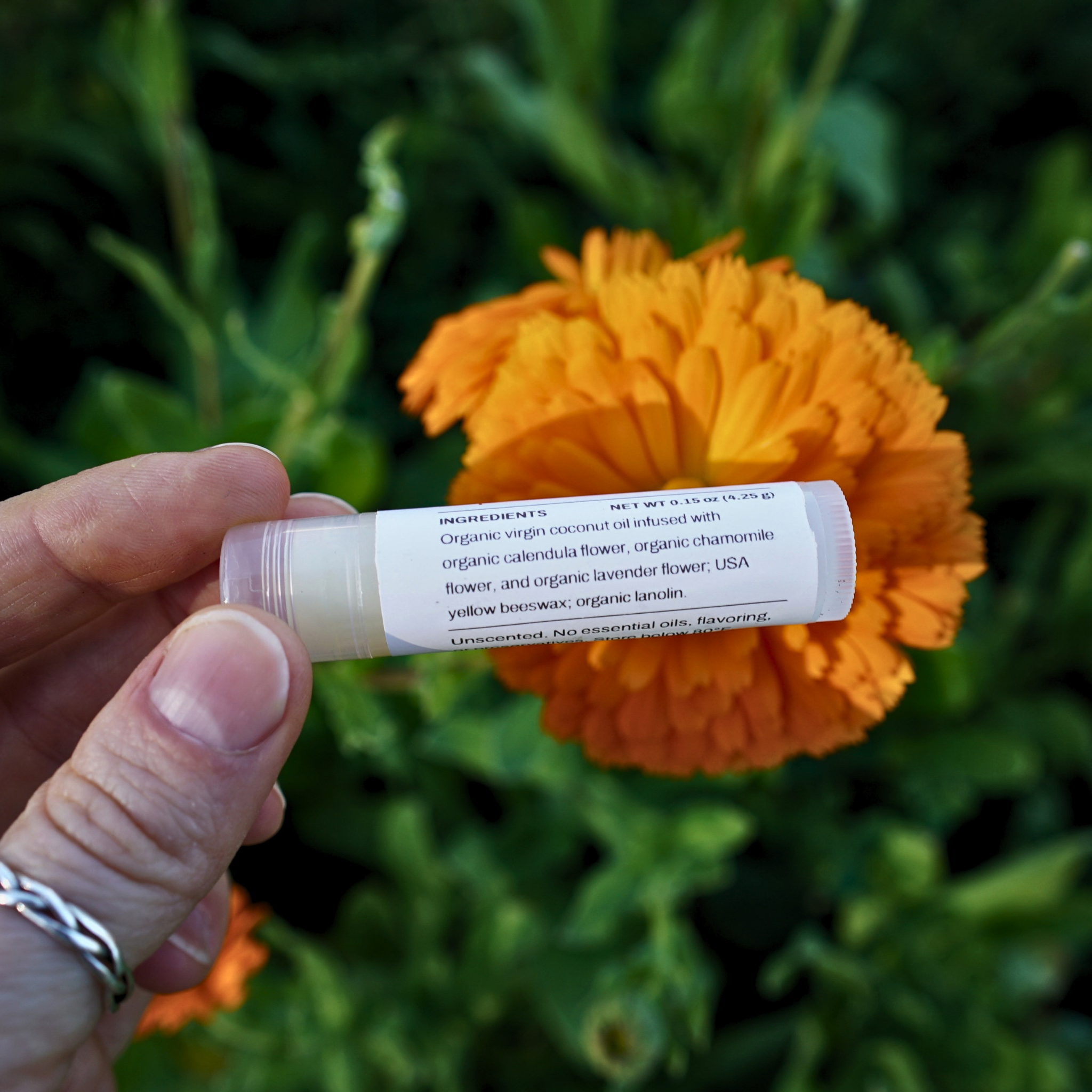calendula chamomile lip balm(2).png