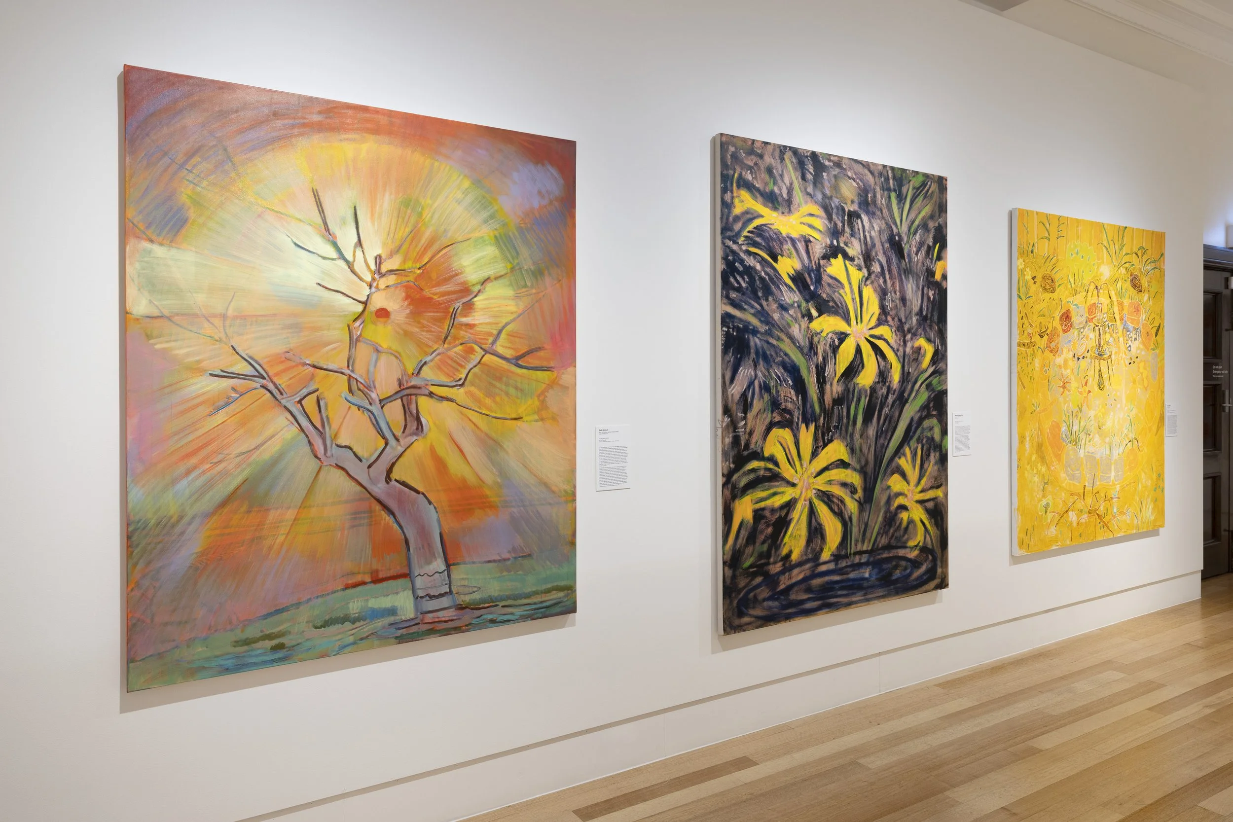 Bayside Painting Prize
